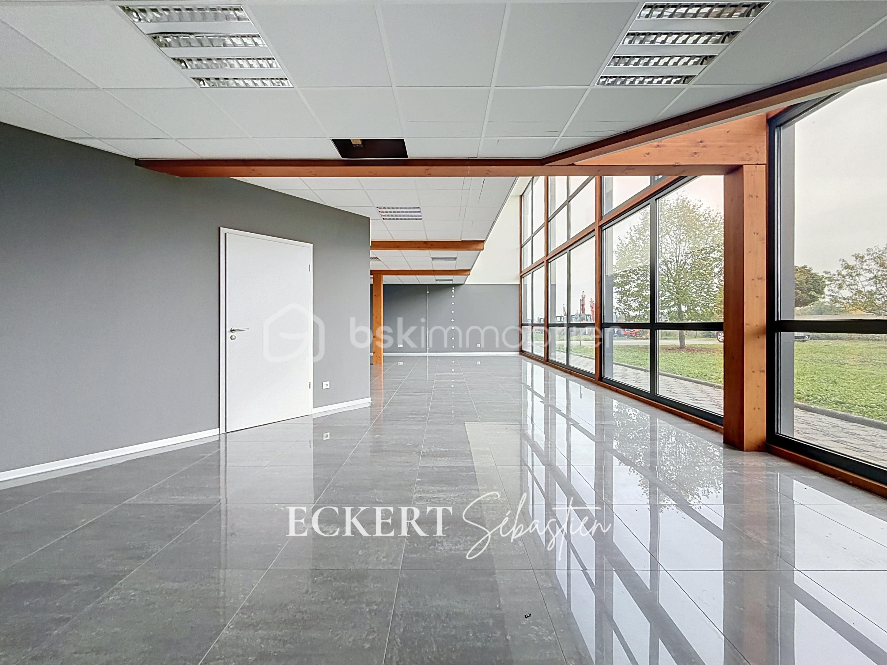 Immobilier_location_Eckert_Local_pro_Rixheim_00002.jpg