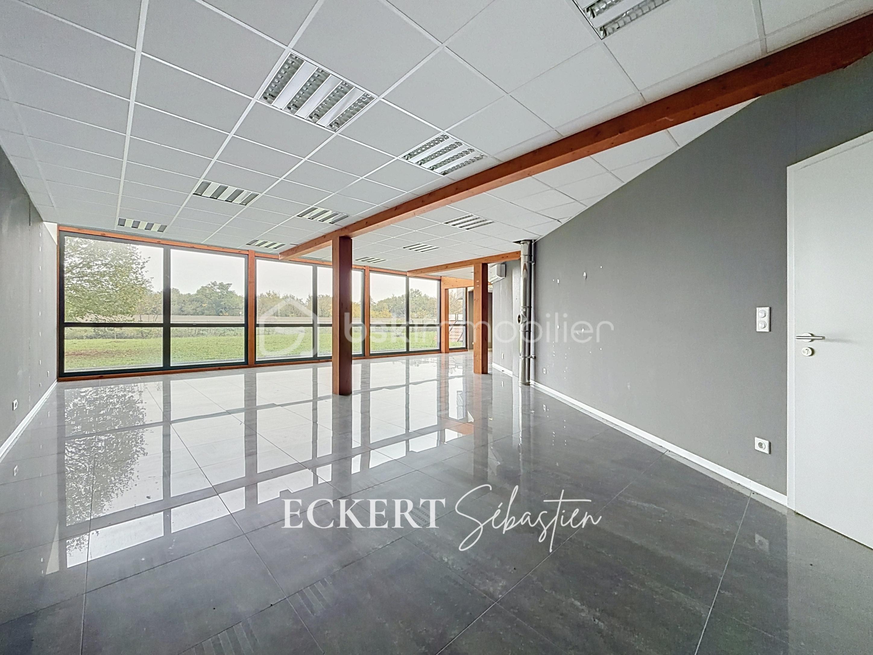 Immobilier_location_Eckert_Local_pro_Rixheim_ (4).jpg