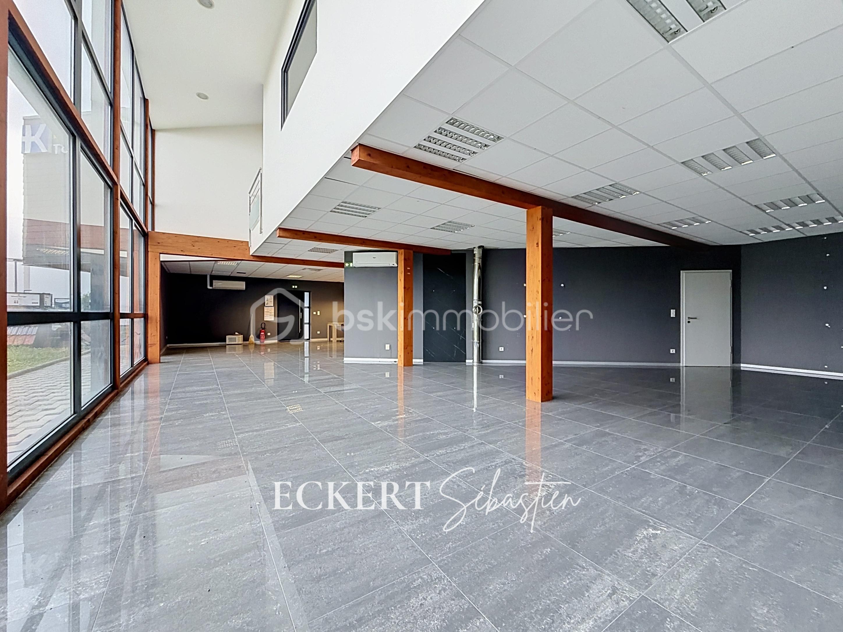 Immobilier_location_Eckert_Local_pro_Rixheim_ (3).jpg