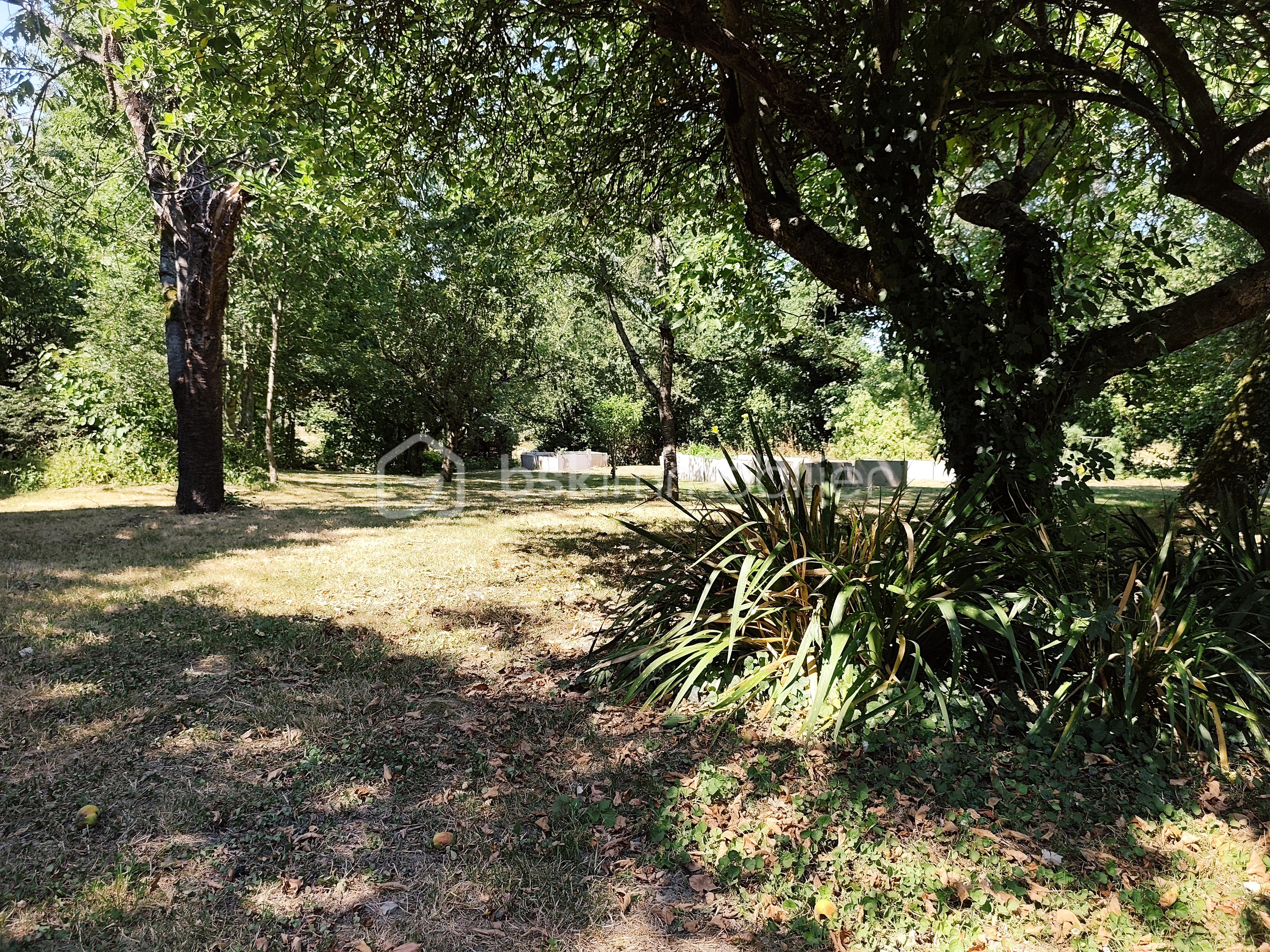 IMG_20260710_165014.jpg
