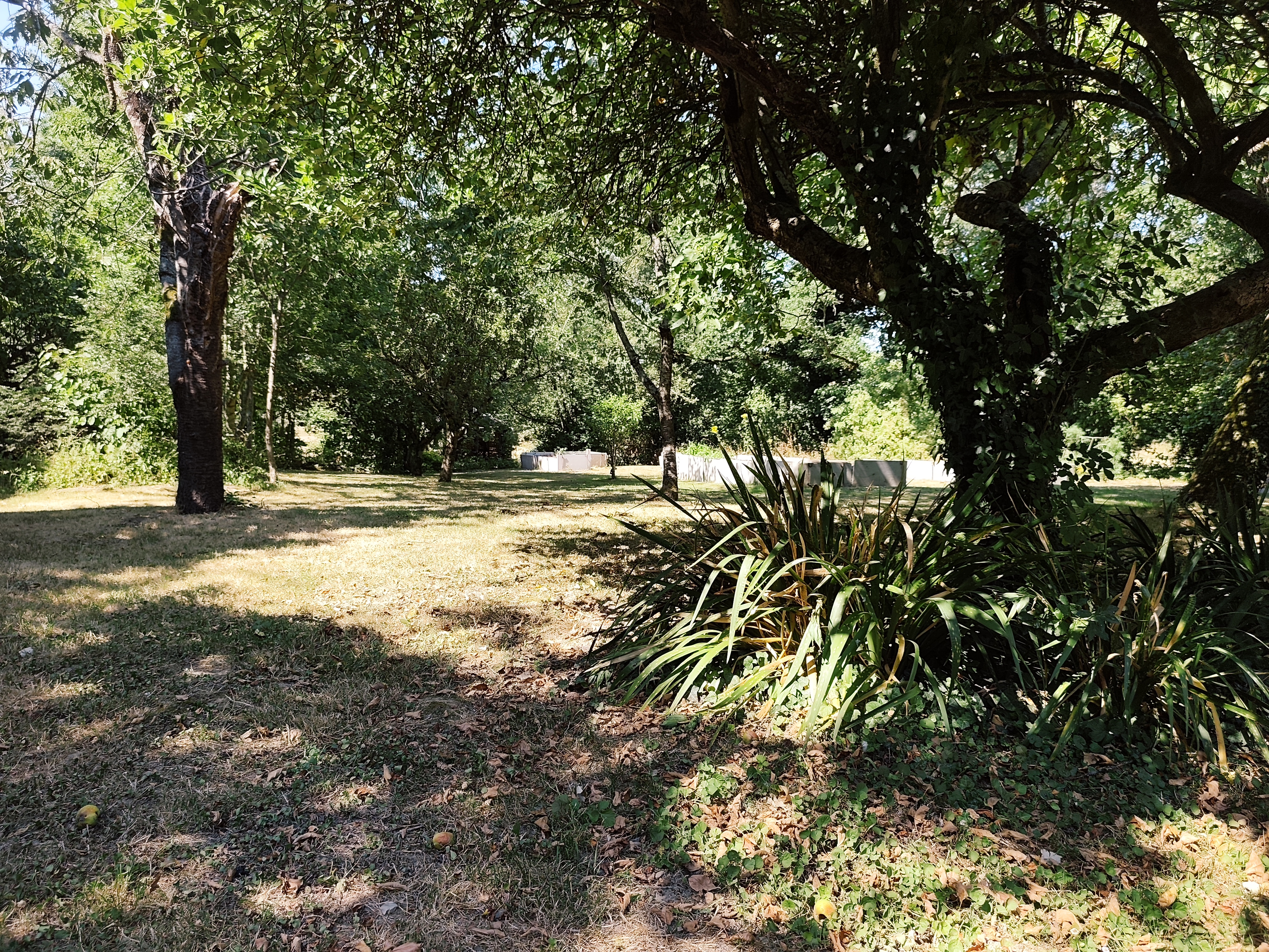 IMG_20260710_165014.jpg