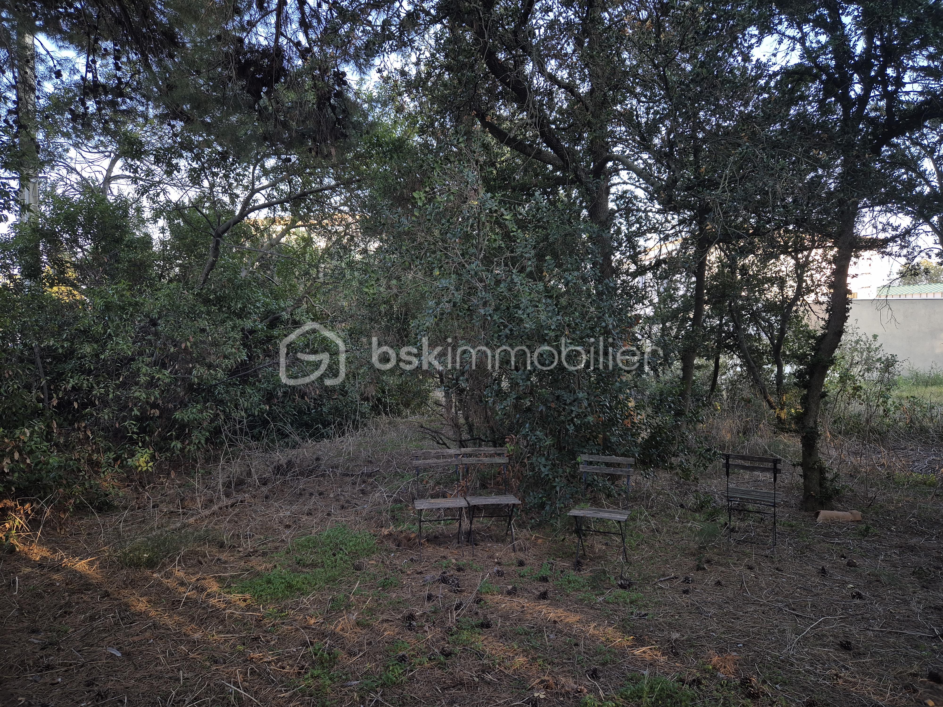 Terrain de 343 m² - IMG_20260127_170045.jpg