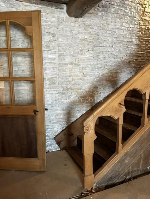 ae77f7a0-7527-4a67-9f36-eff6a19ea05a.jpg