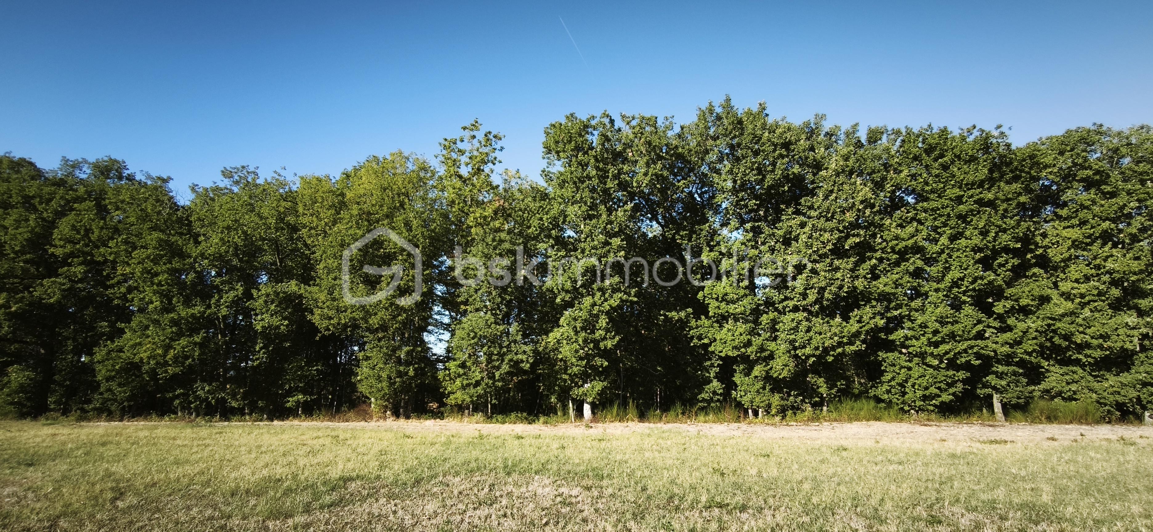 1788453430644.jpg