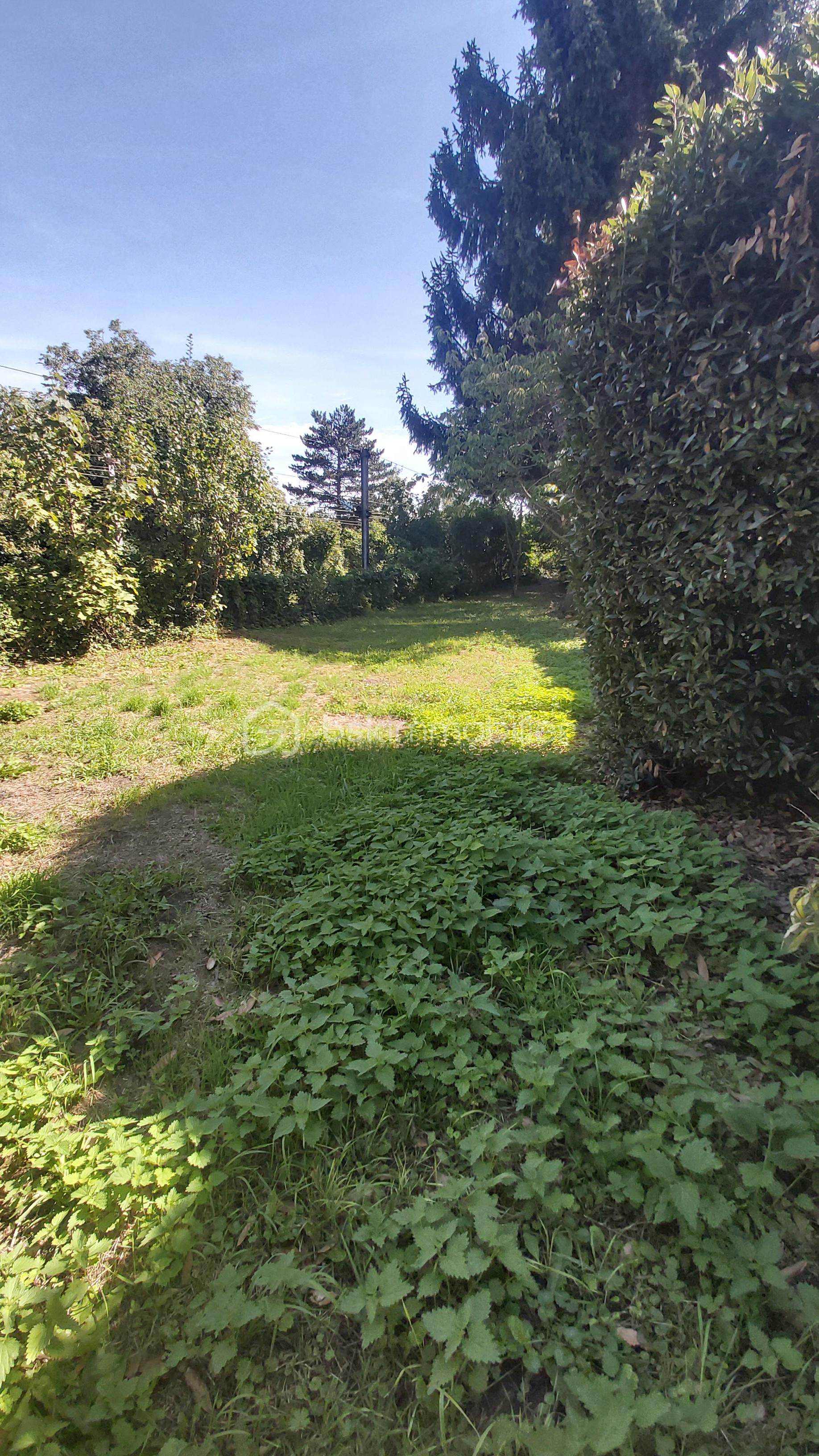 Maison ancienne de 177 m² - 20250906_140744.jpg