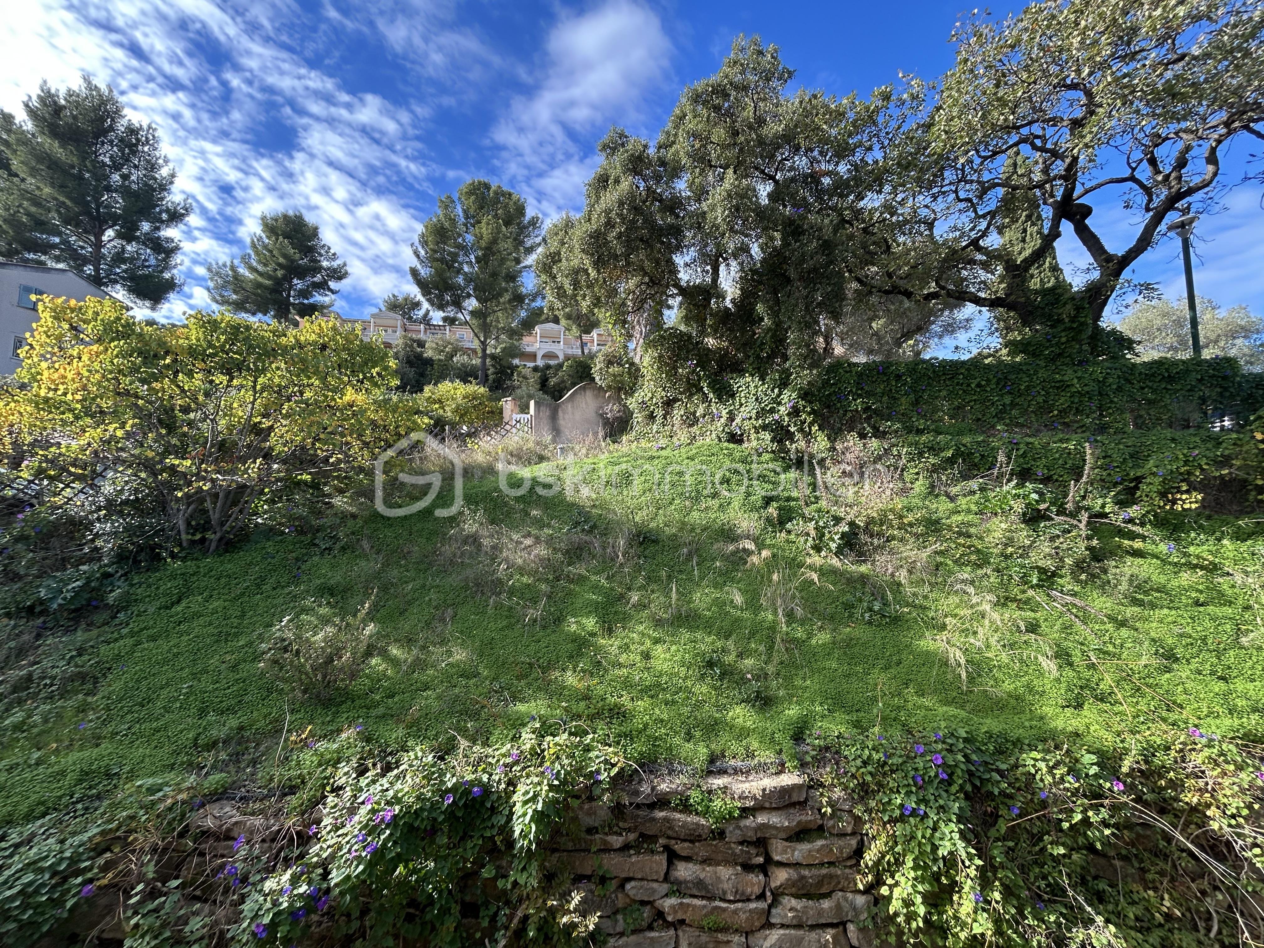 Appartement de 23,06 m² - IMG_6891.jpeg