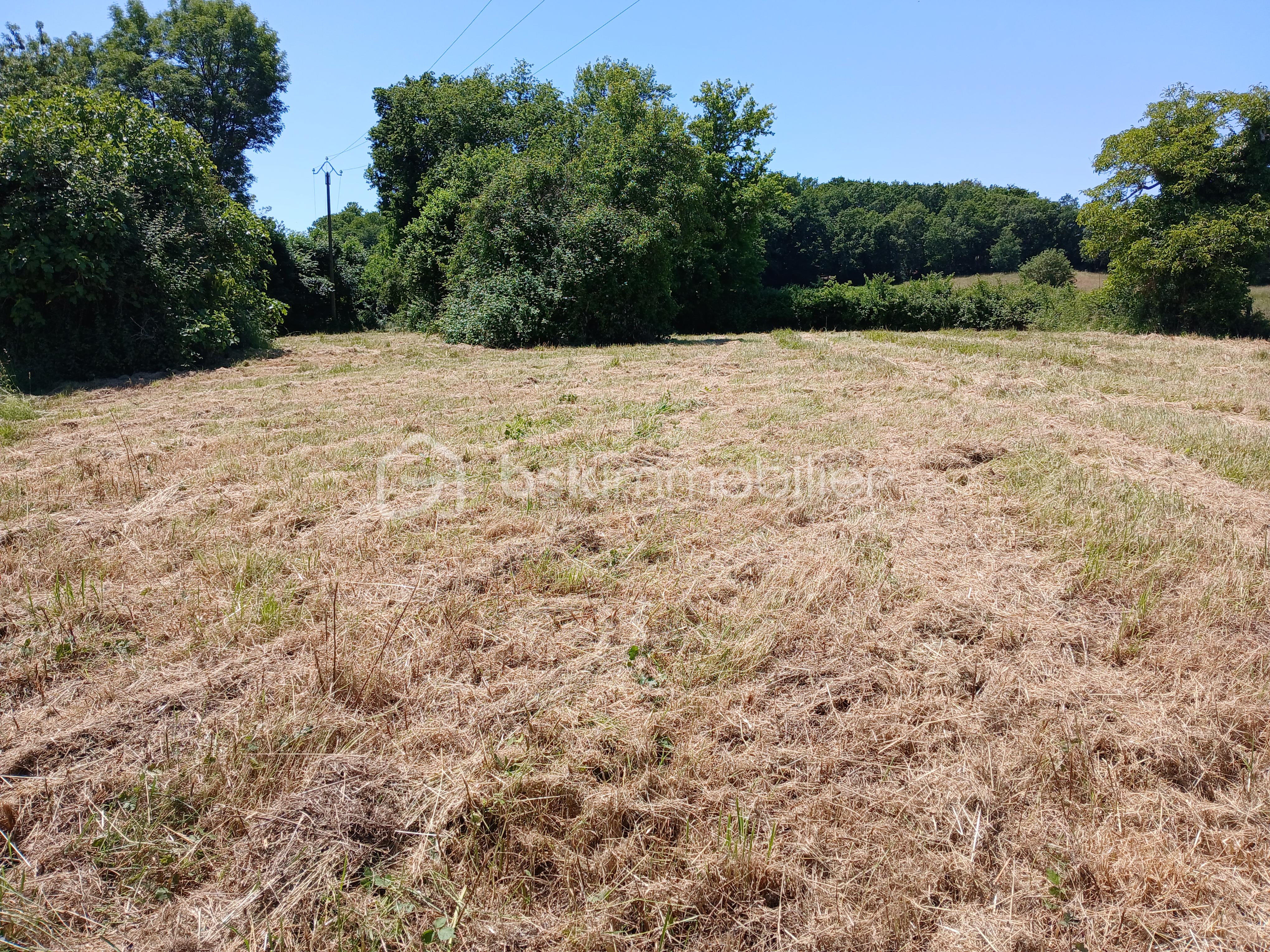 Terrain de 2 300 m² - 20250530_142801.jpg