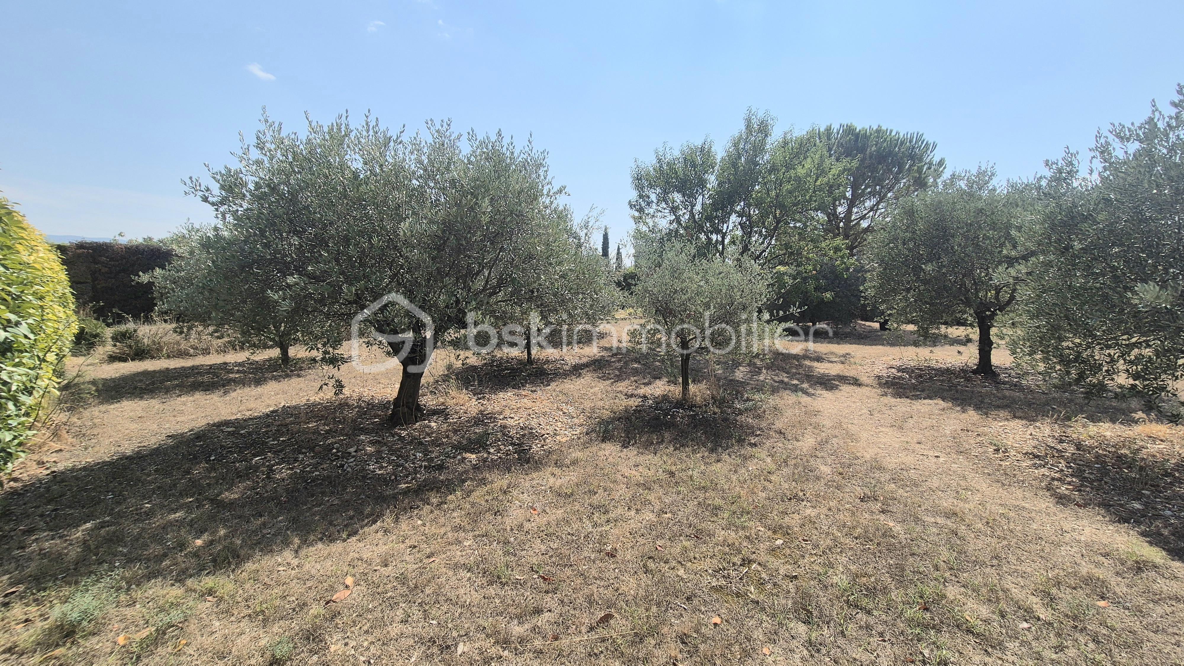 Maison de 252 m² - 20250821_153258.jpg
