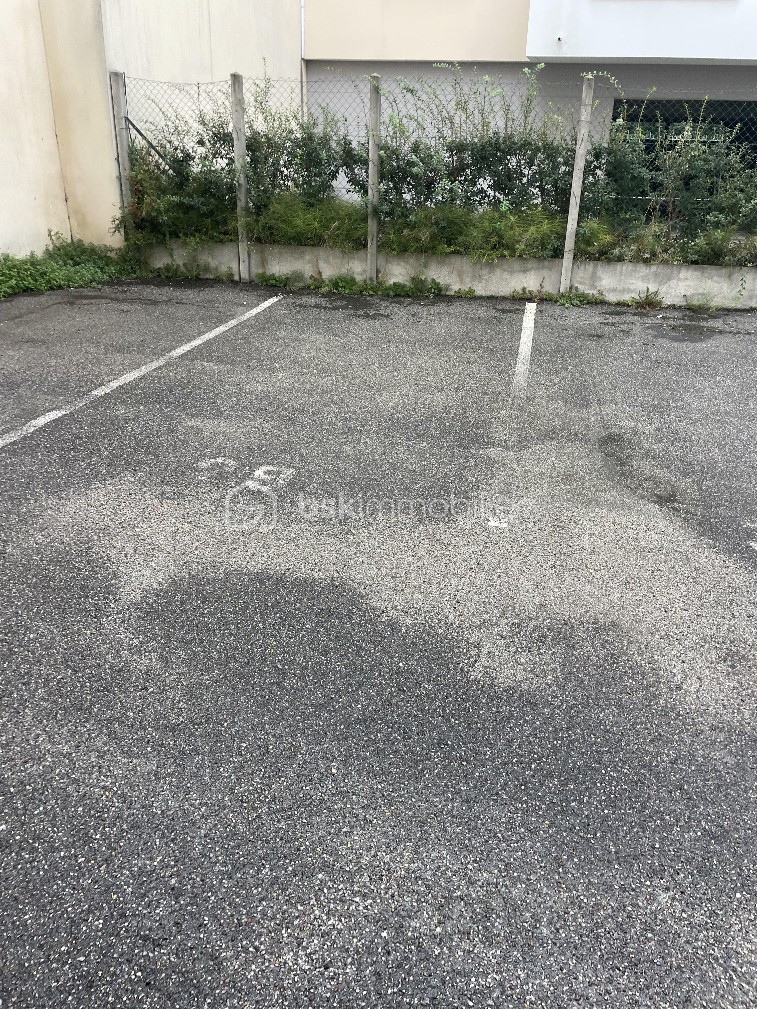 IMG_4489.jpeg