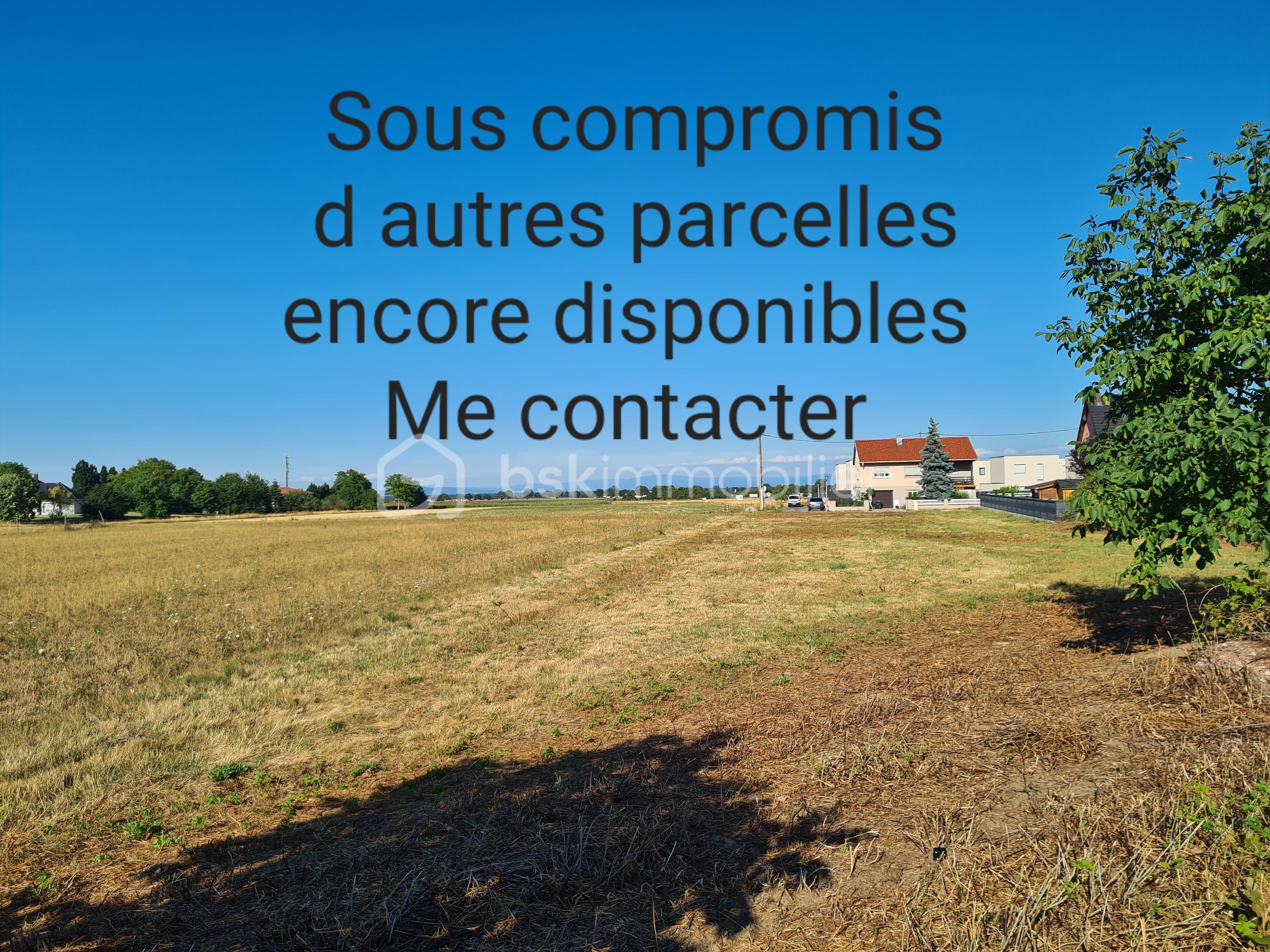 Terrain de 561 m² - 20250718_183007.jpg