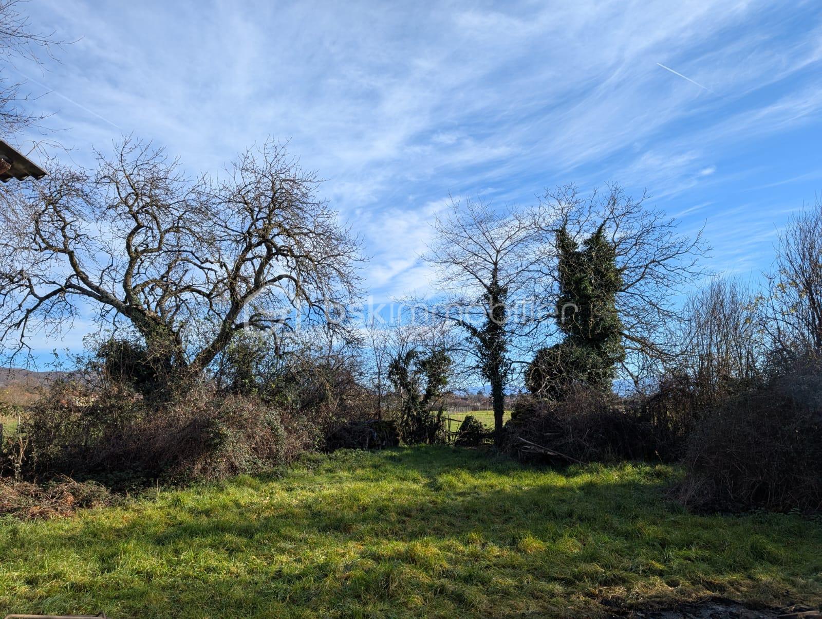 Corps de ferme de 140 m² - 79AE2232-02AC-4B44-95EA-D998A33DF64B.JPG