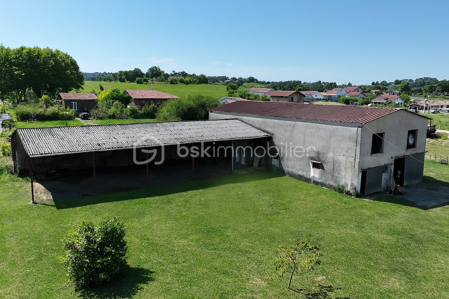 Immeuble de 850 m² - ChatGPT Image 17 juil. 2025, 19_20_54.jpg
