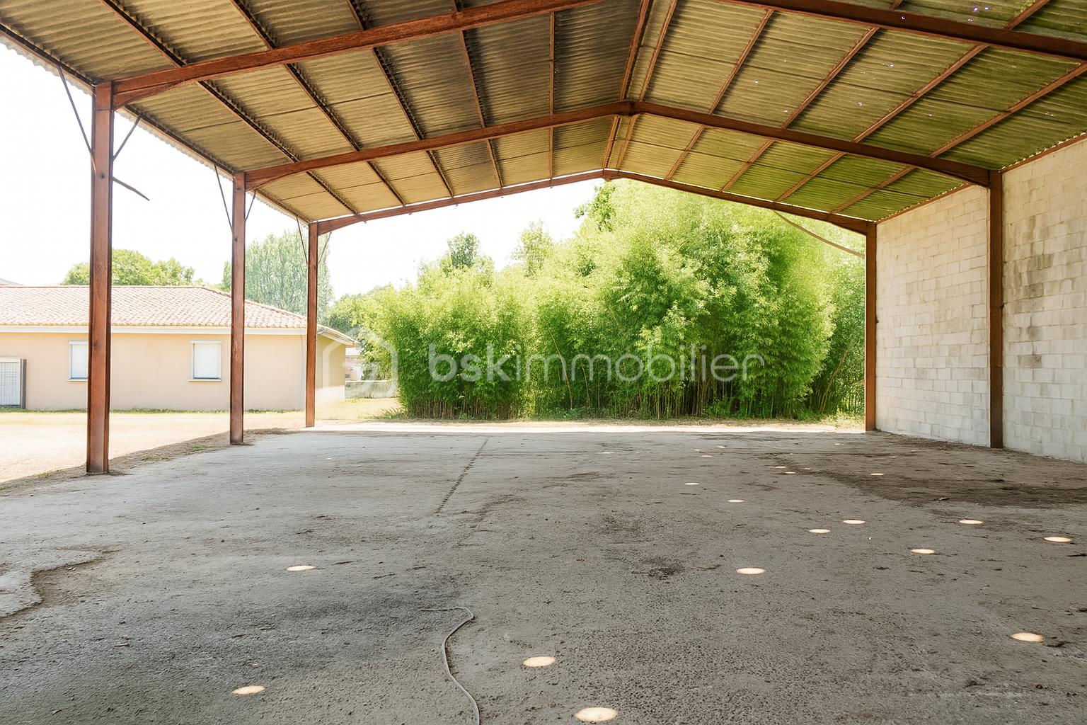 Immeuble de 850 m² - ChatGPT Image 17 juil. 2025, 18_36_57.png