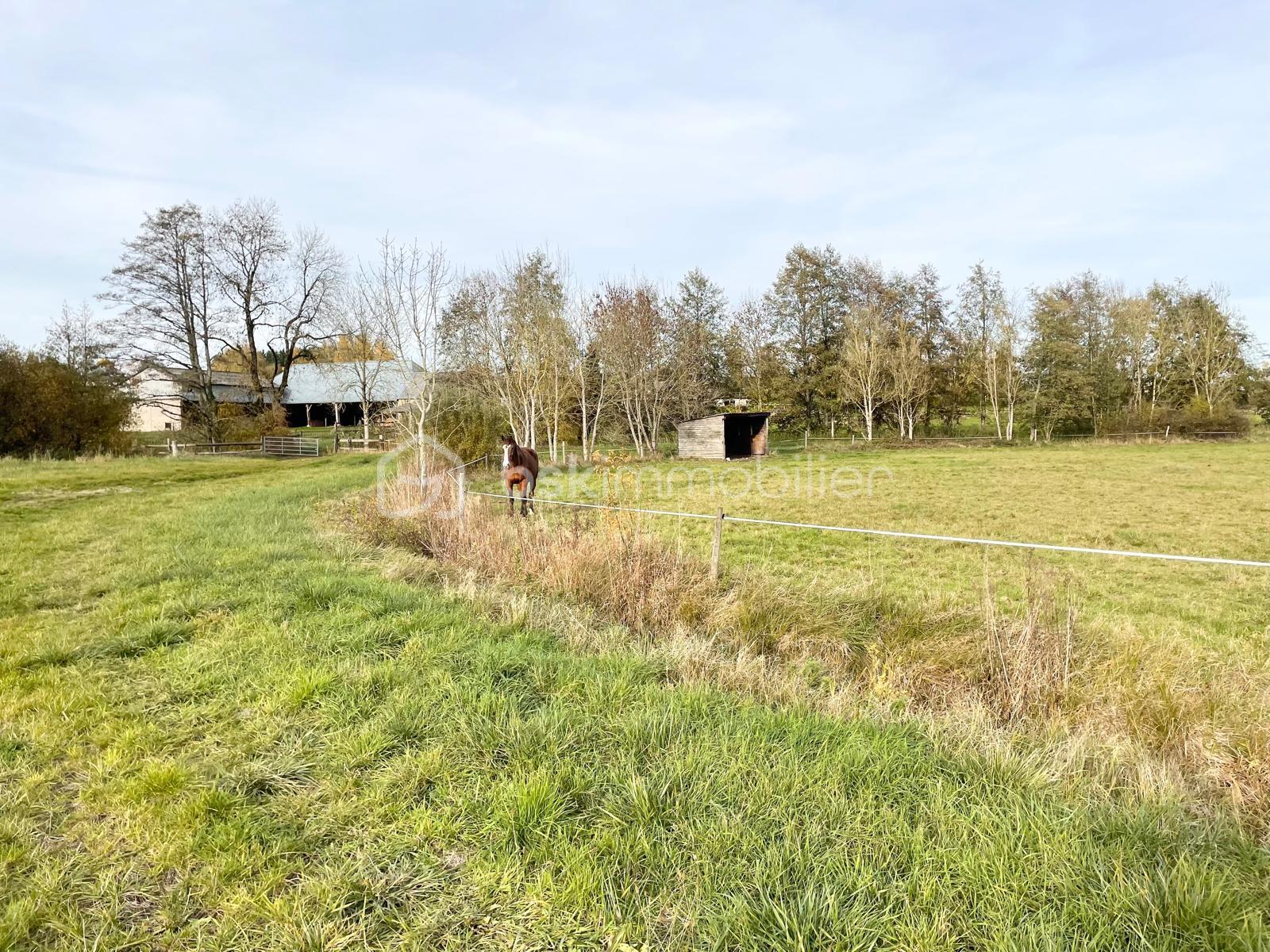 Maison de 165,84 m² - 1767033915678.jpg