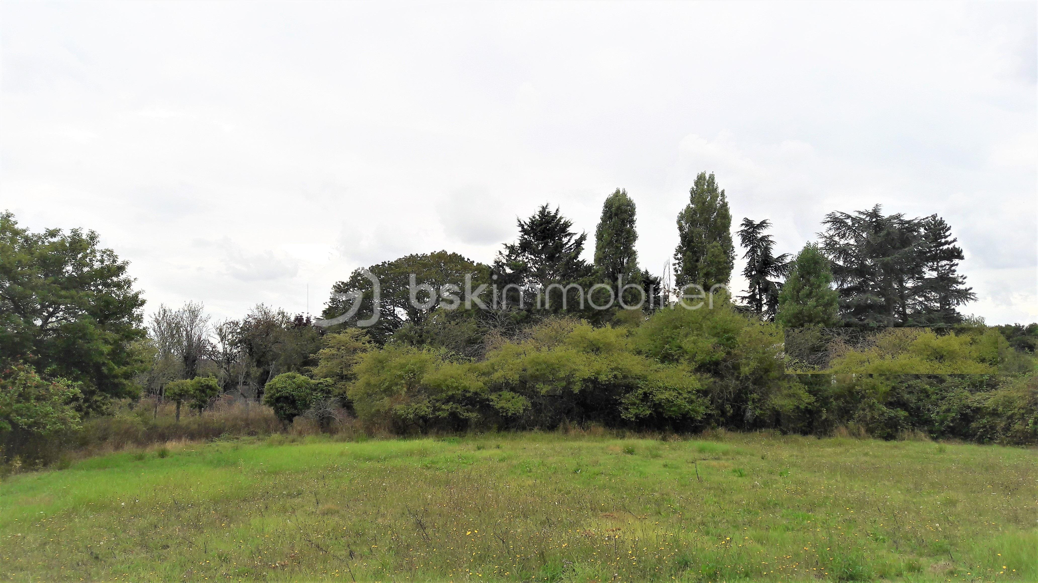 Terrain de 850 m² - TERRAIN 850M2.jpg