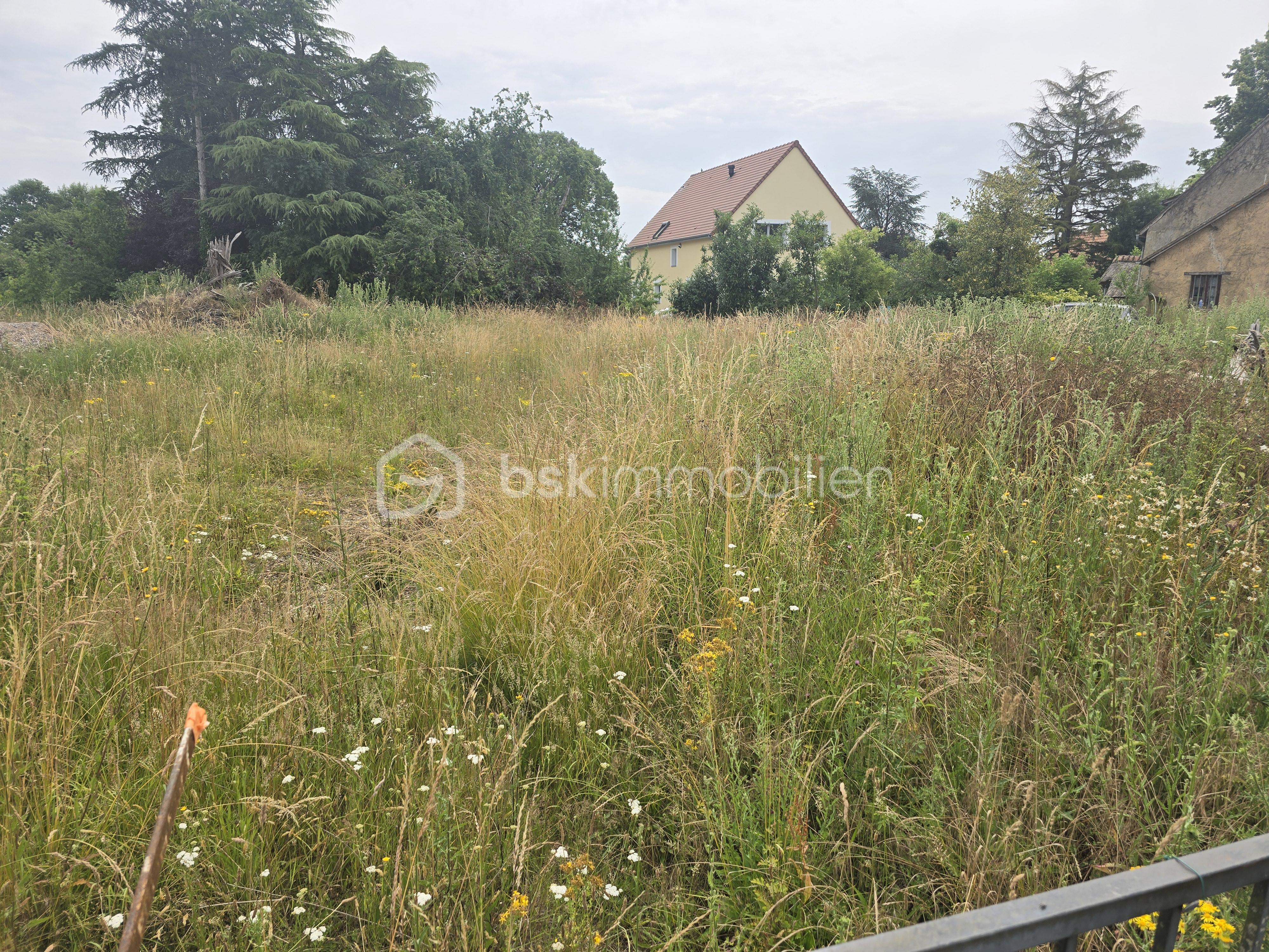 Terrain de 850 m² - 20250622_112931.jpg