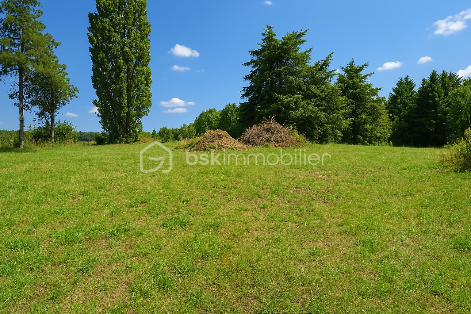 Terrain de 850 m² - 850m²-1.png