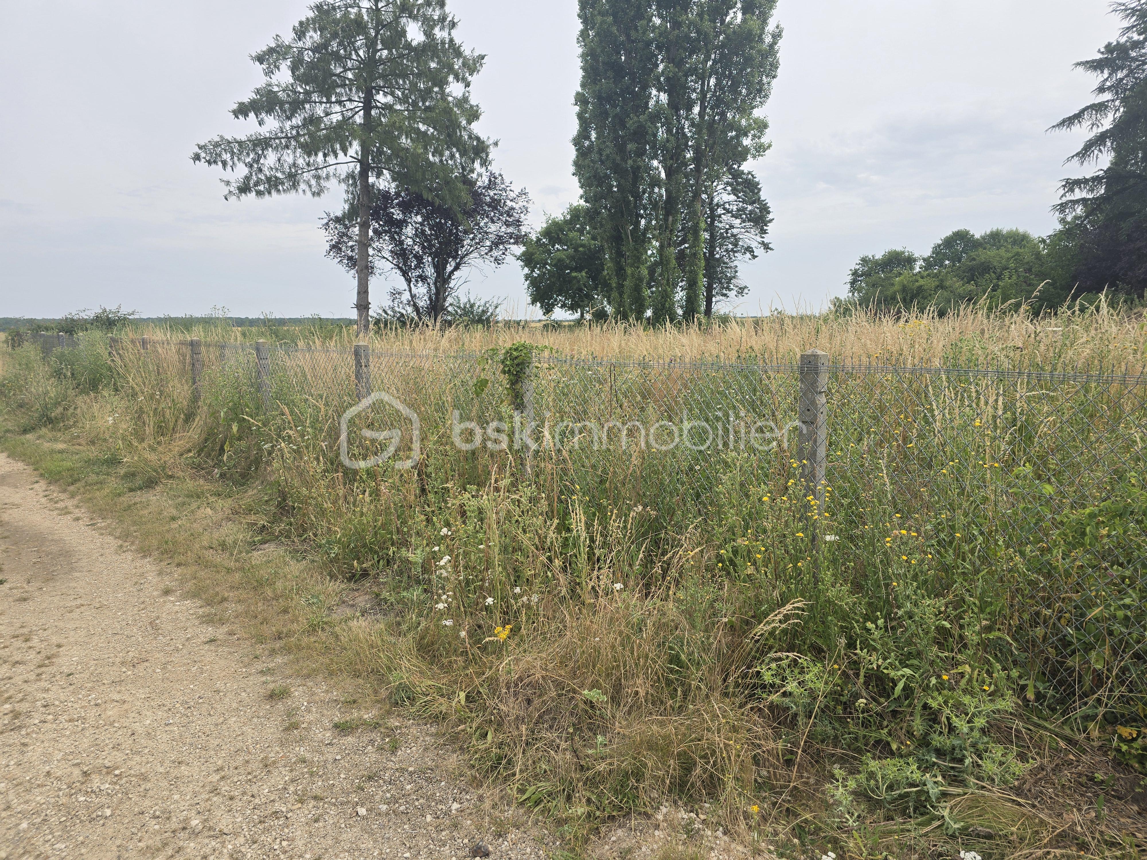 Terrain de 850 m² - 20250622_112944.jpg