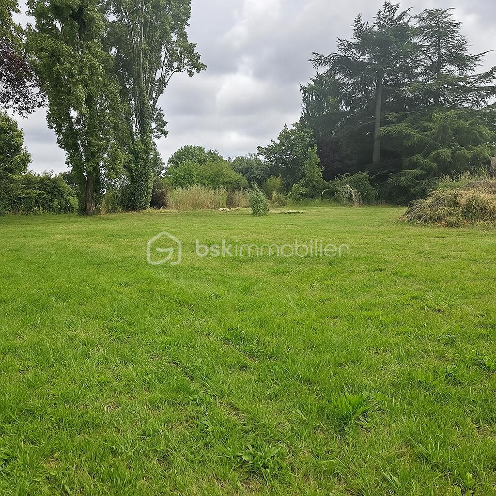 Terrain de 850 m² - terrain850m²-visu depuis petit terrain.png