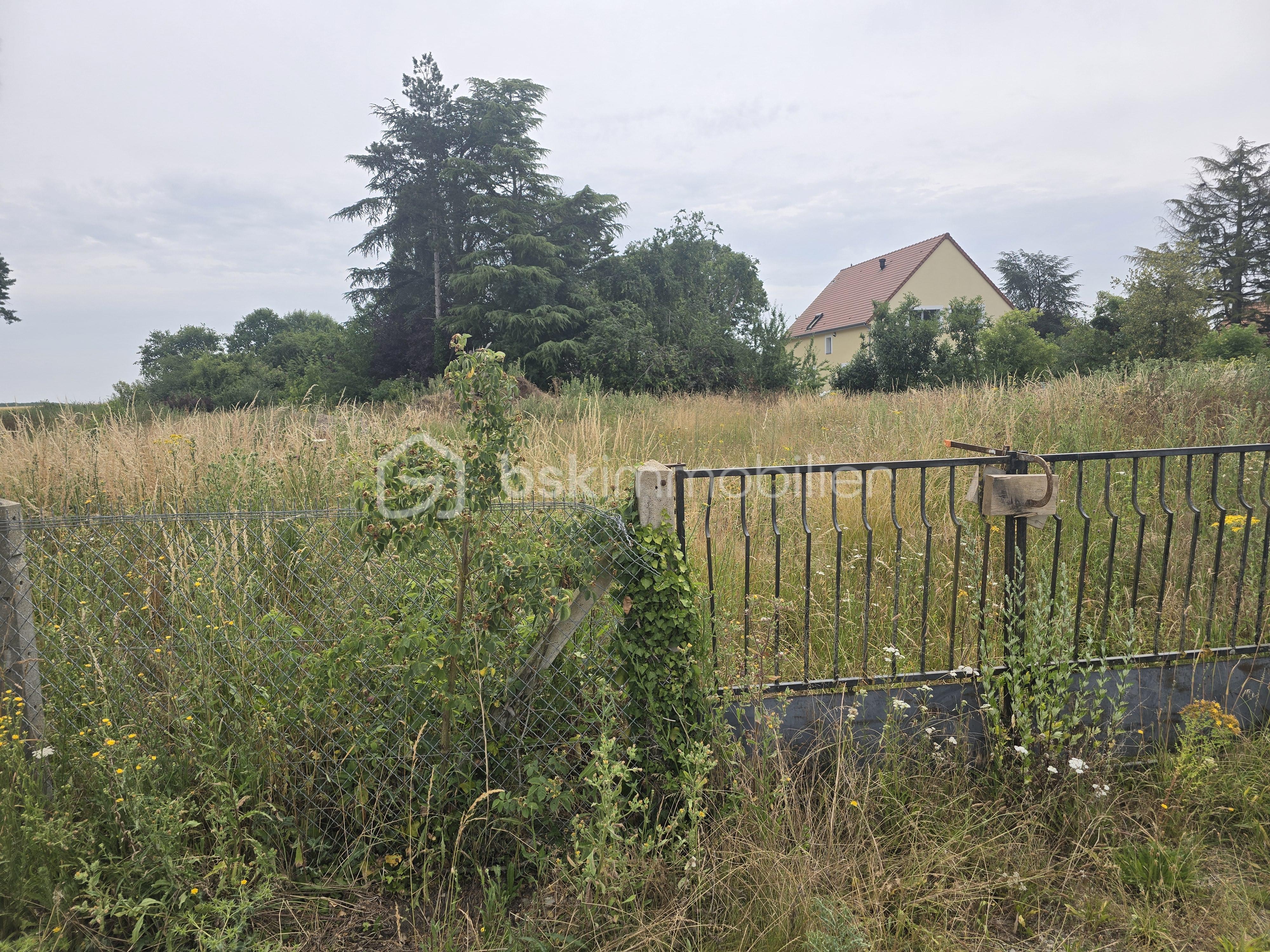 Terrain de 850 m² - 20250622_112947.jpg