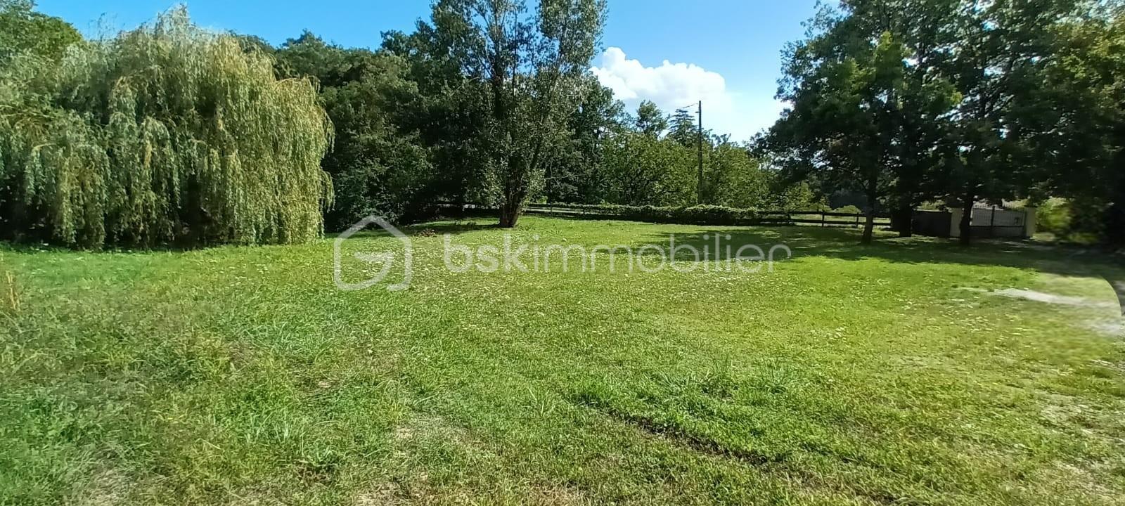 Chalet de 200 m² - JARDIN MODIFIE.jpg