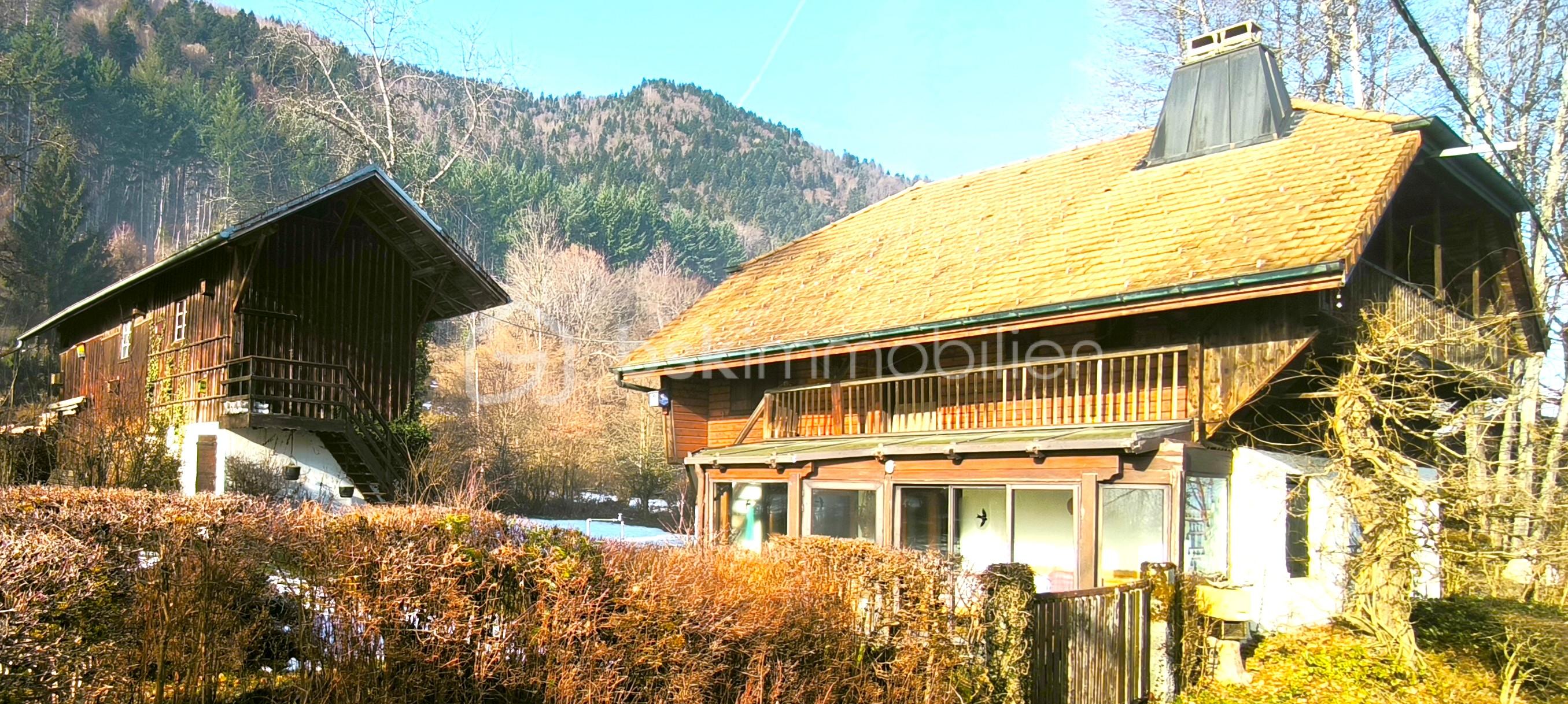 IMFELD 7.jpg