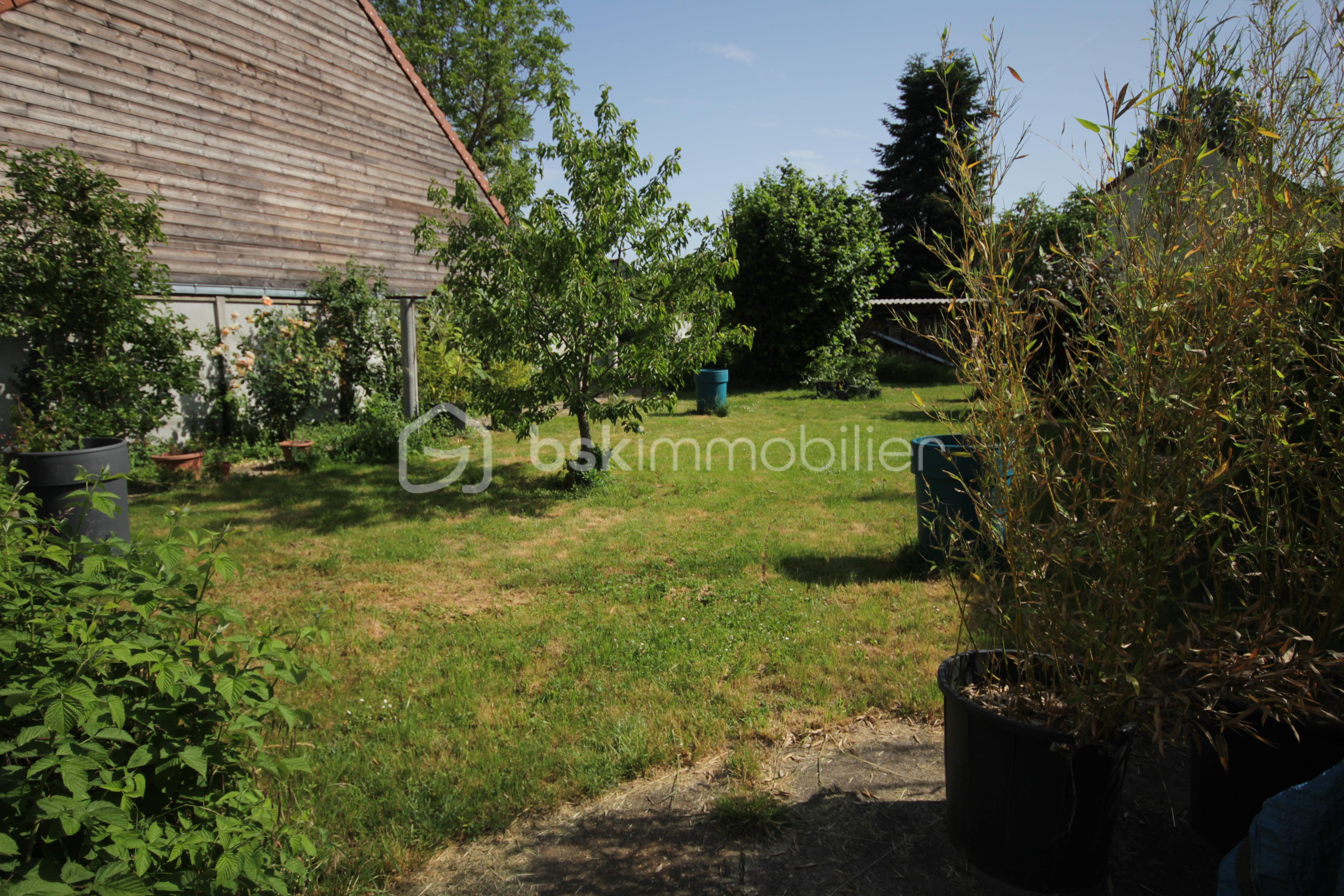 IMG_0261 RP.JPG