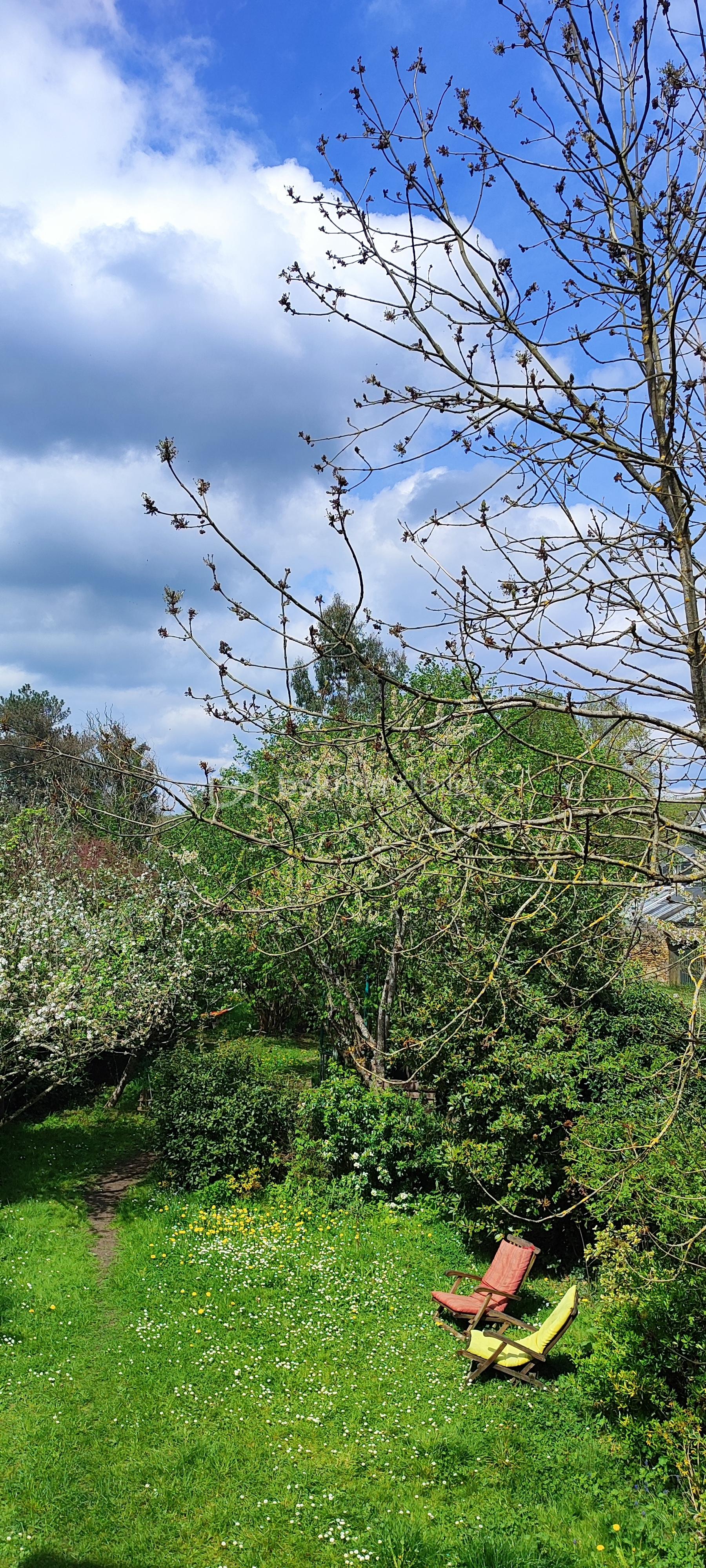 Maison ancienne de 215 m² - Photo jardin .jpg