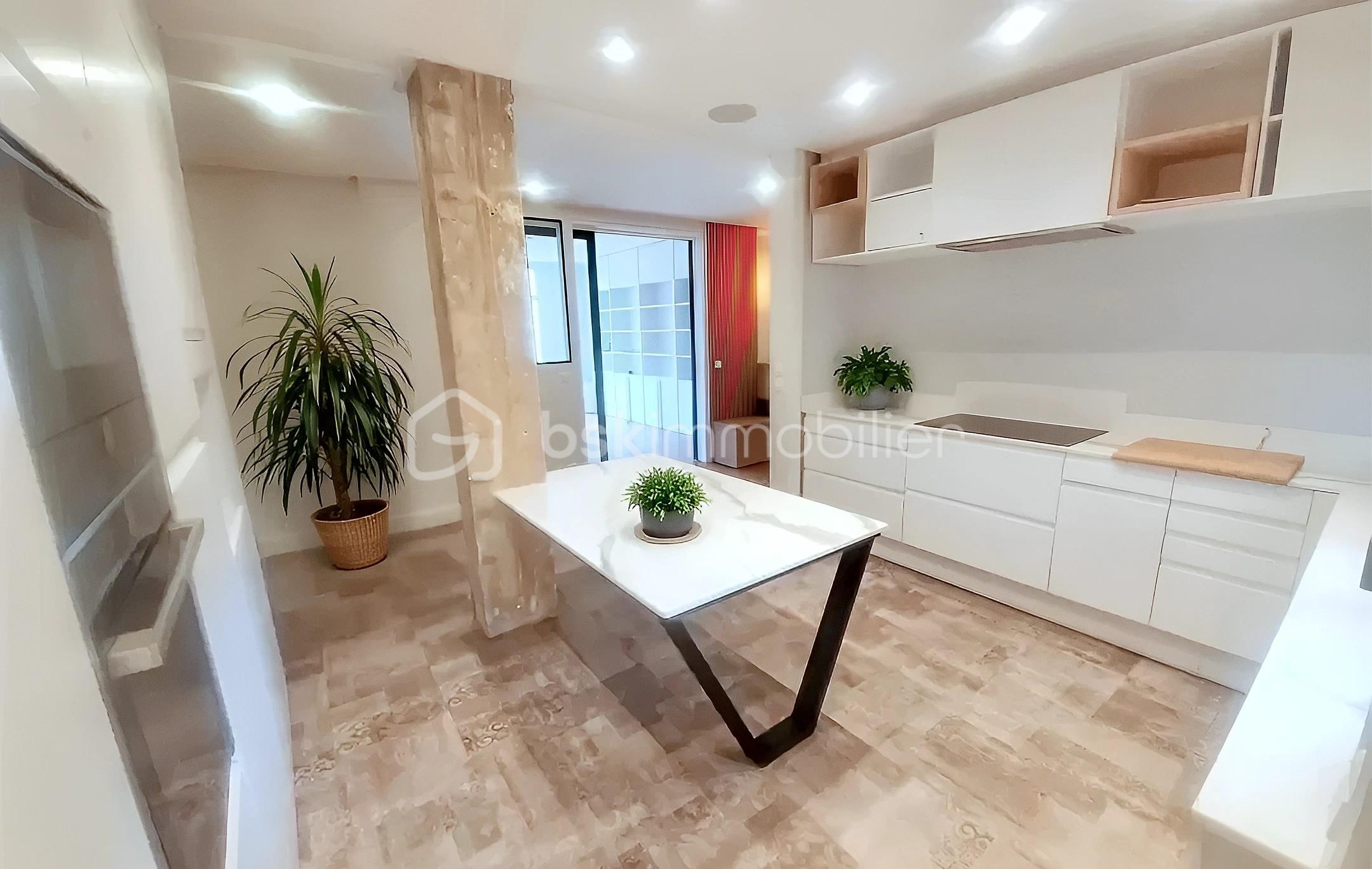 Appartement de 193,05 m² - TCG LAURENT CUISINE 1 plantes vertes (1).jpg