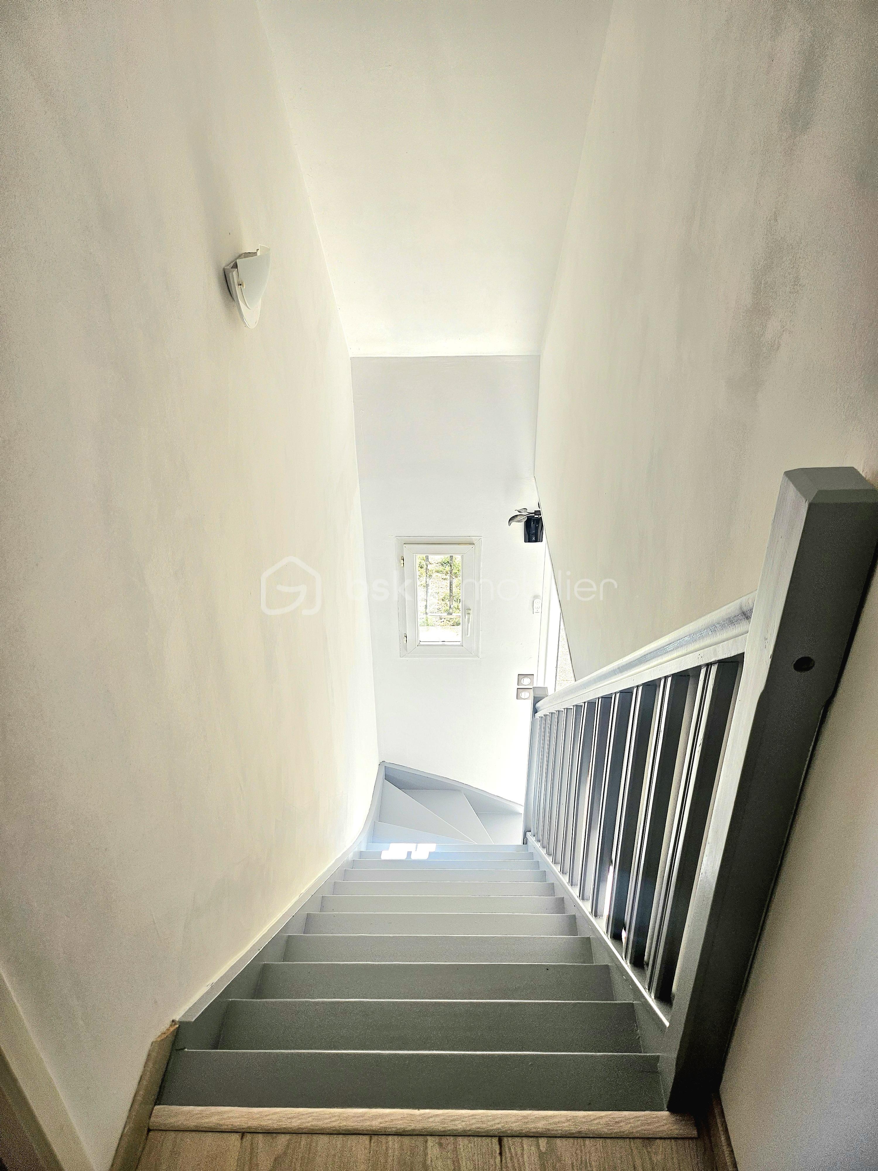9193.jpg