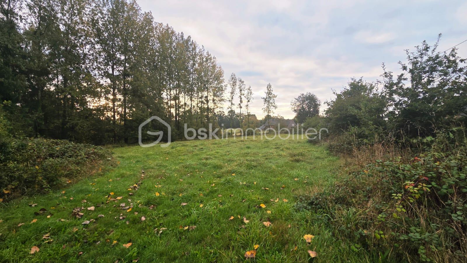 Maison longere de 121 m² - WhatsApp Image 2025-10-09 à 11.25.50_f5bb0204.jpg