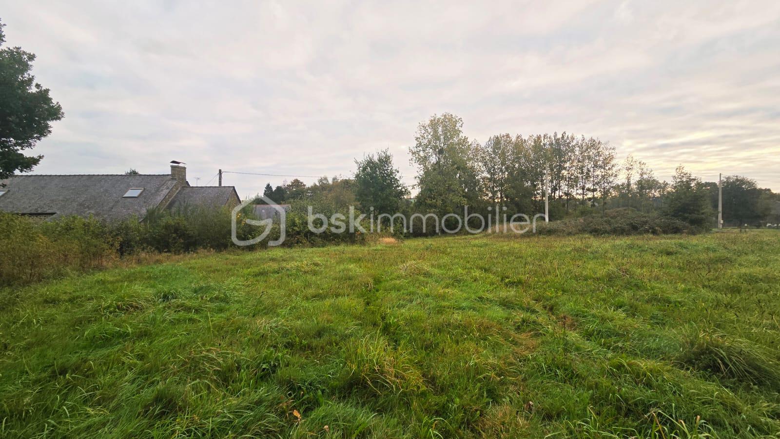 Maison longere de 121 m² - WhatsApp Image 2025-10-09 à 11.25.50_eb726a1e.jpg