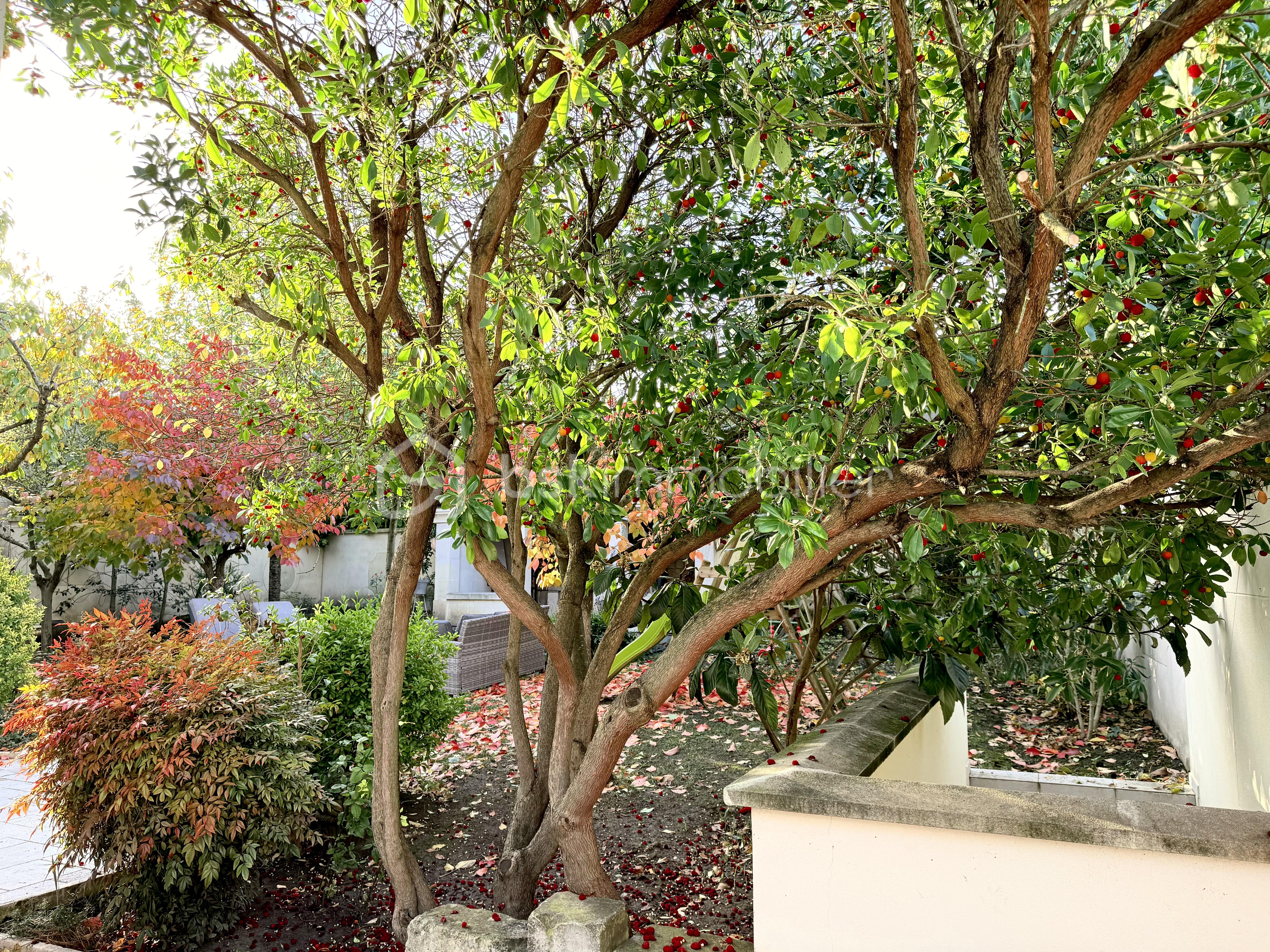 Villa de 180,14 m² - Jardin_3.jpeg
