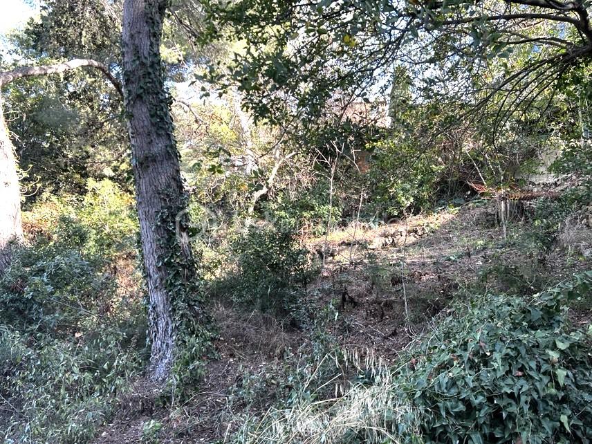 Terrain de 1 468 m² - IMG_8120.jpg