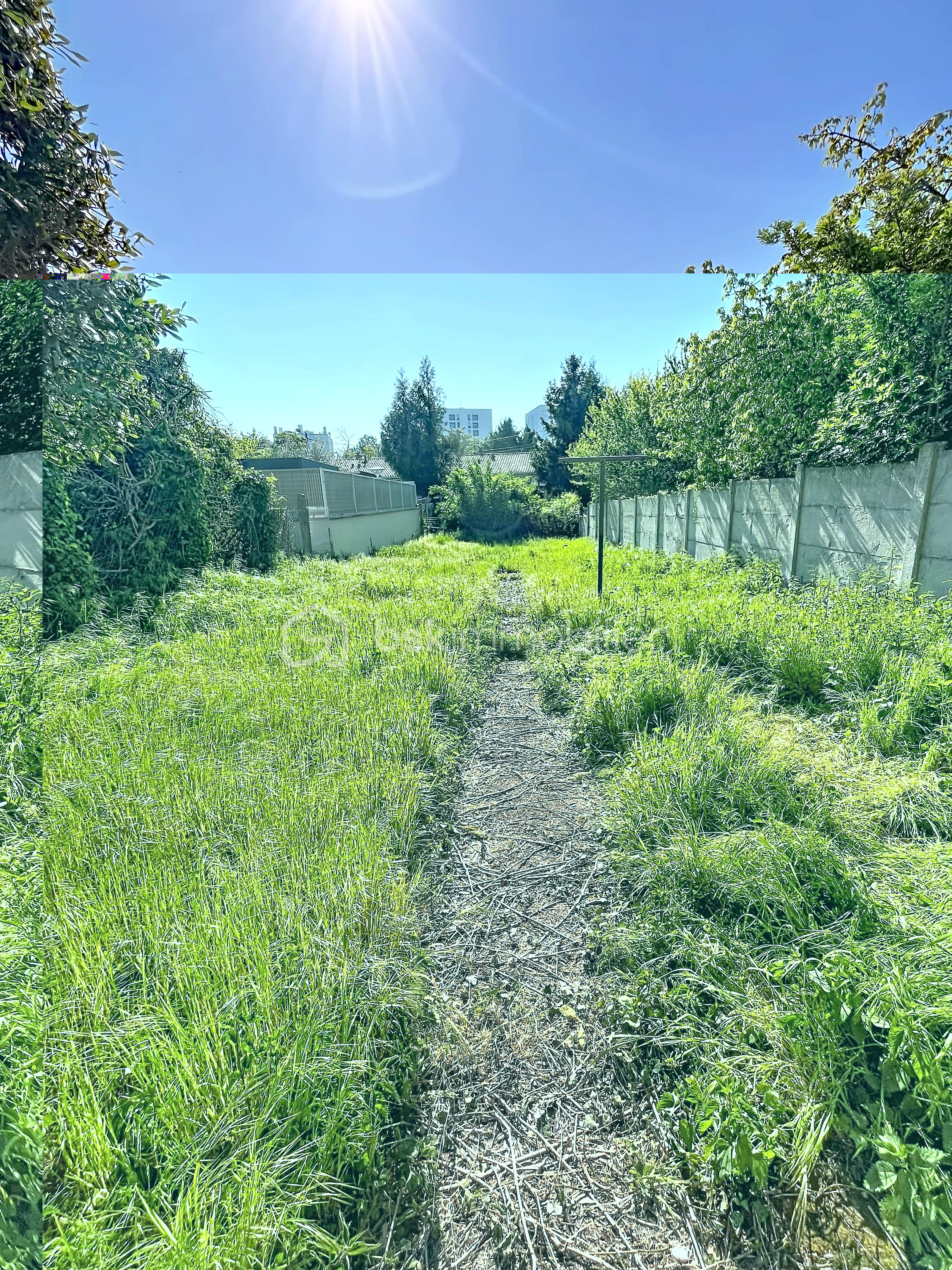 maurice-renard_00001 (1).jpg