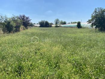 IMG_0010.jpeg