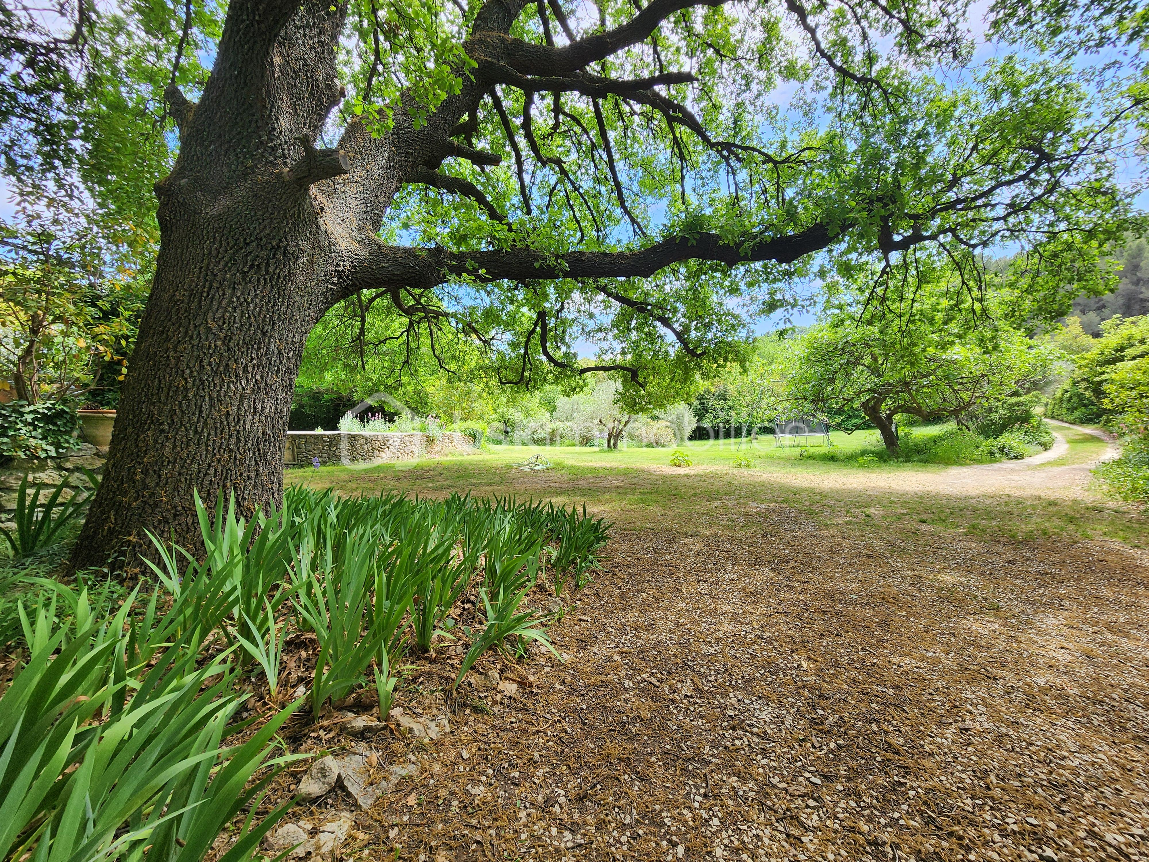 jardin1.jpg