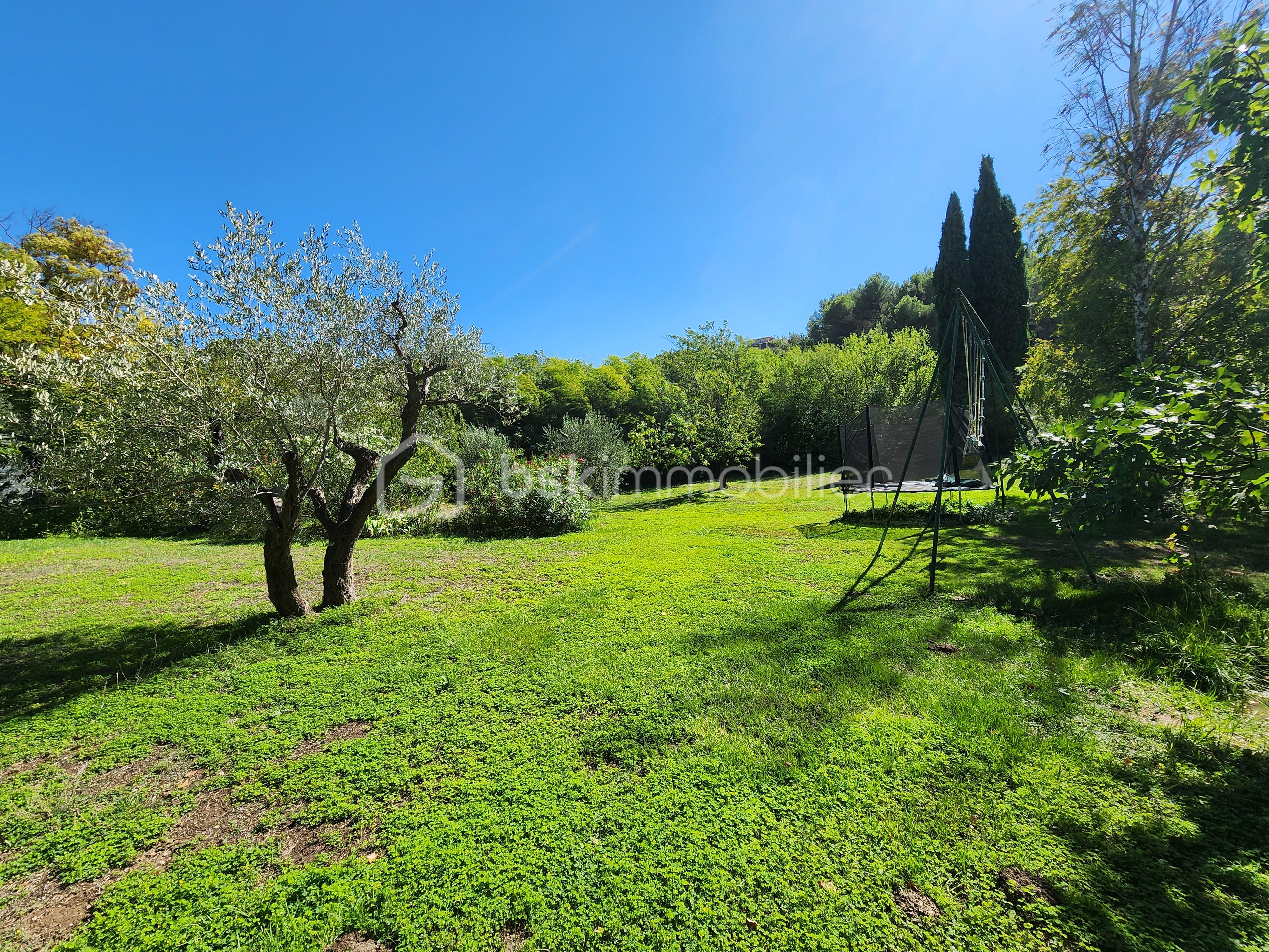 Ferme de 240 m² - TERRAIN.jpg
