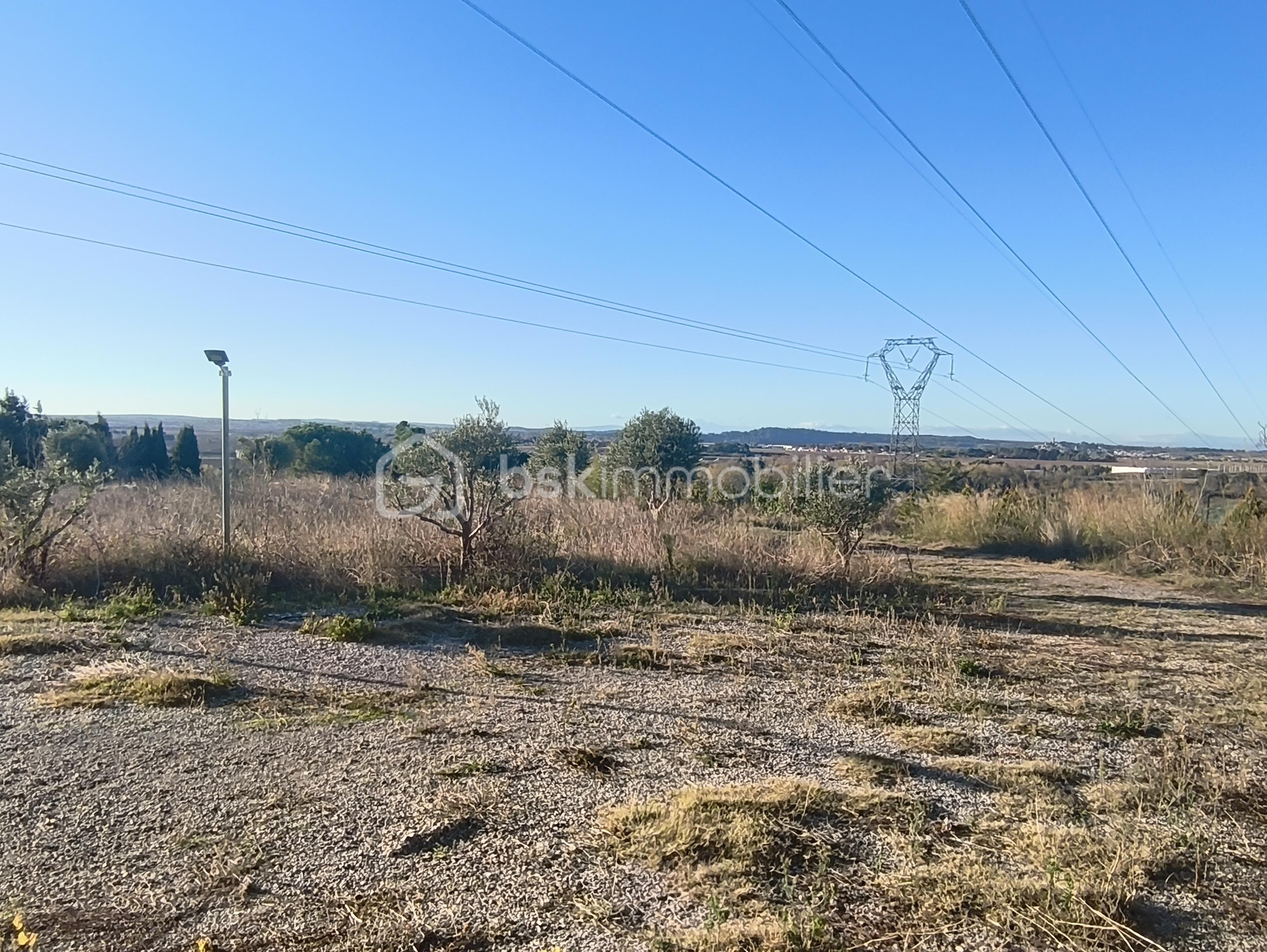 Terrain agricole de 35 000 m² - IMG_20251127_092740.jpg