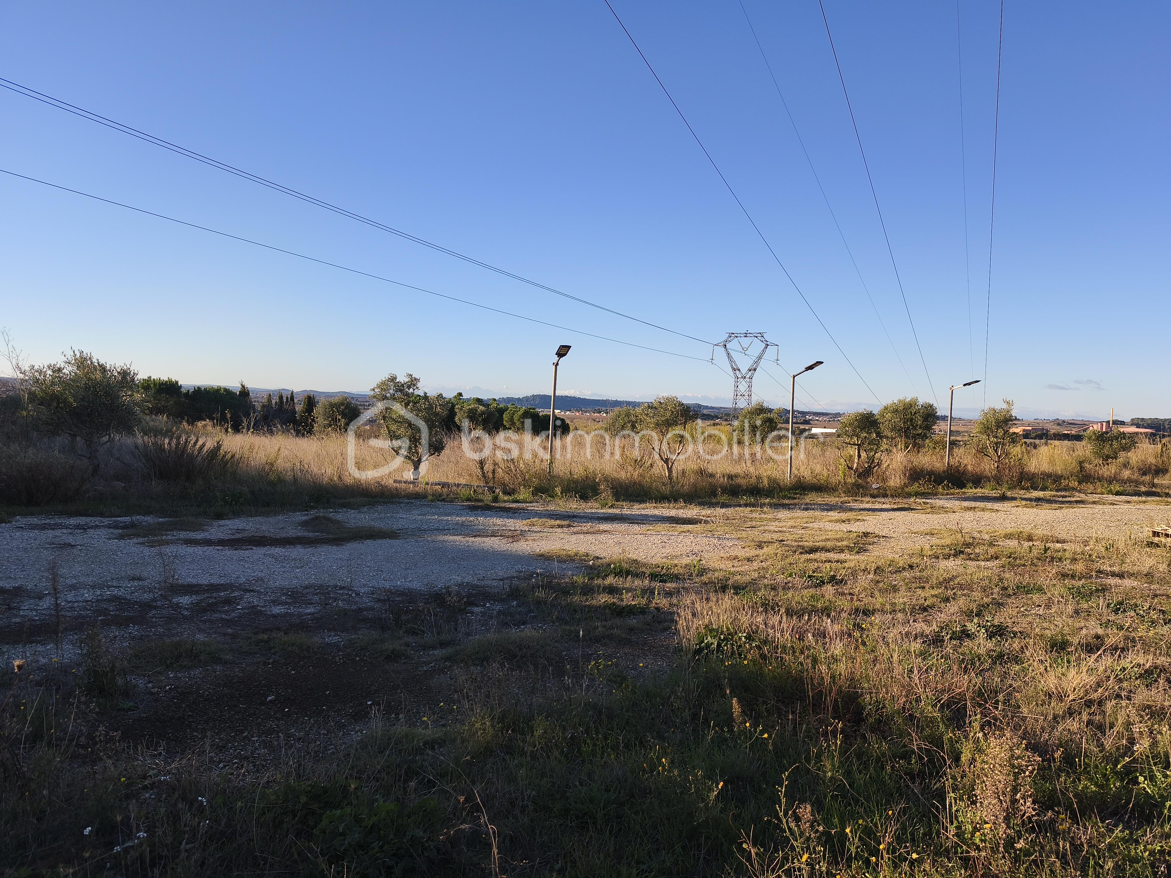 Terrain agricole de 35 000 m² - IMG_20251127_092230.jpg