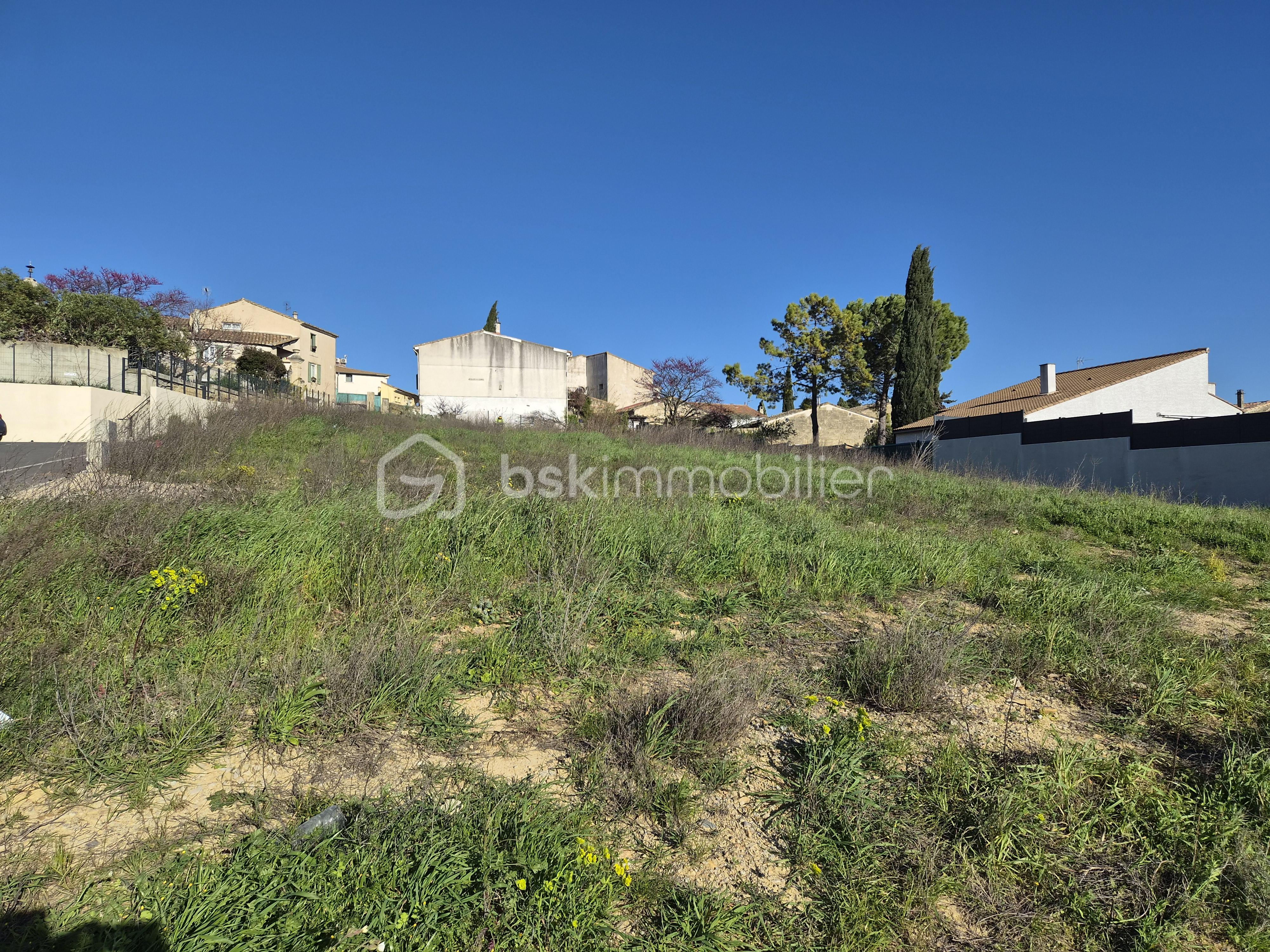 terrain Mus nouveau.jpg