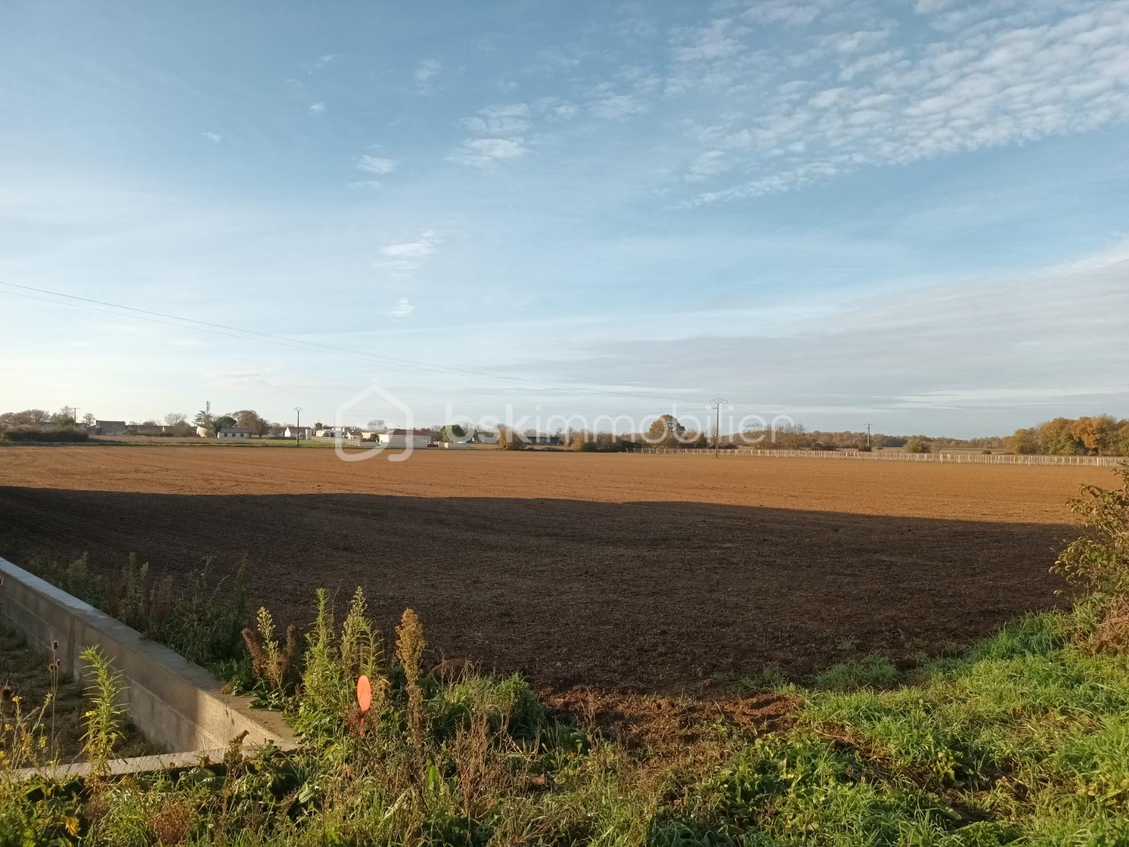 Terrain industriel de 9 653 m² - terrain thors 4.jpg