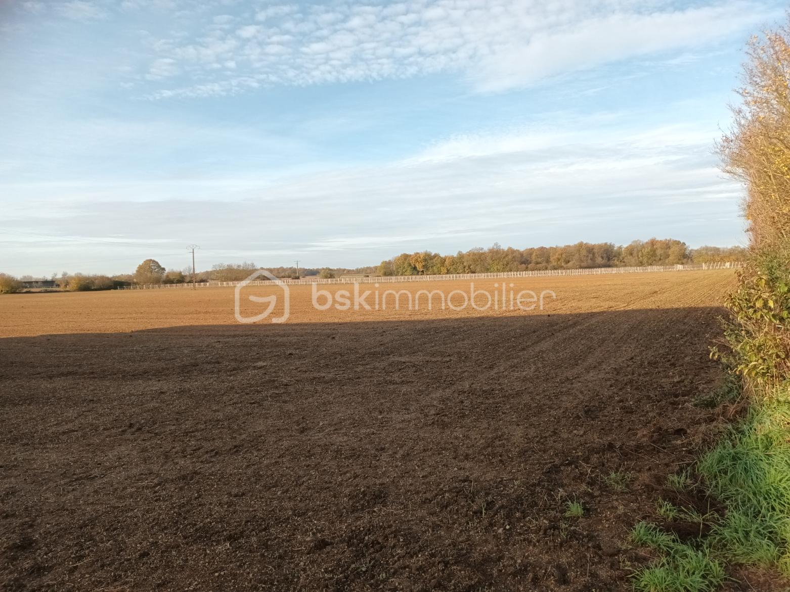 Terrain industriel de 9 653 m² - terrain thors 2.jpg