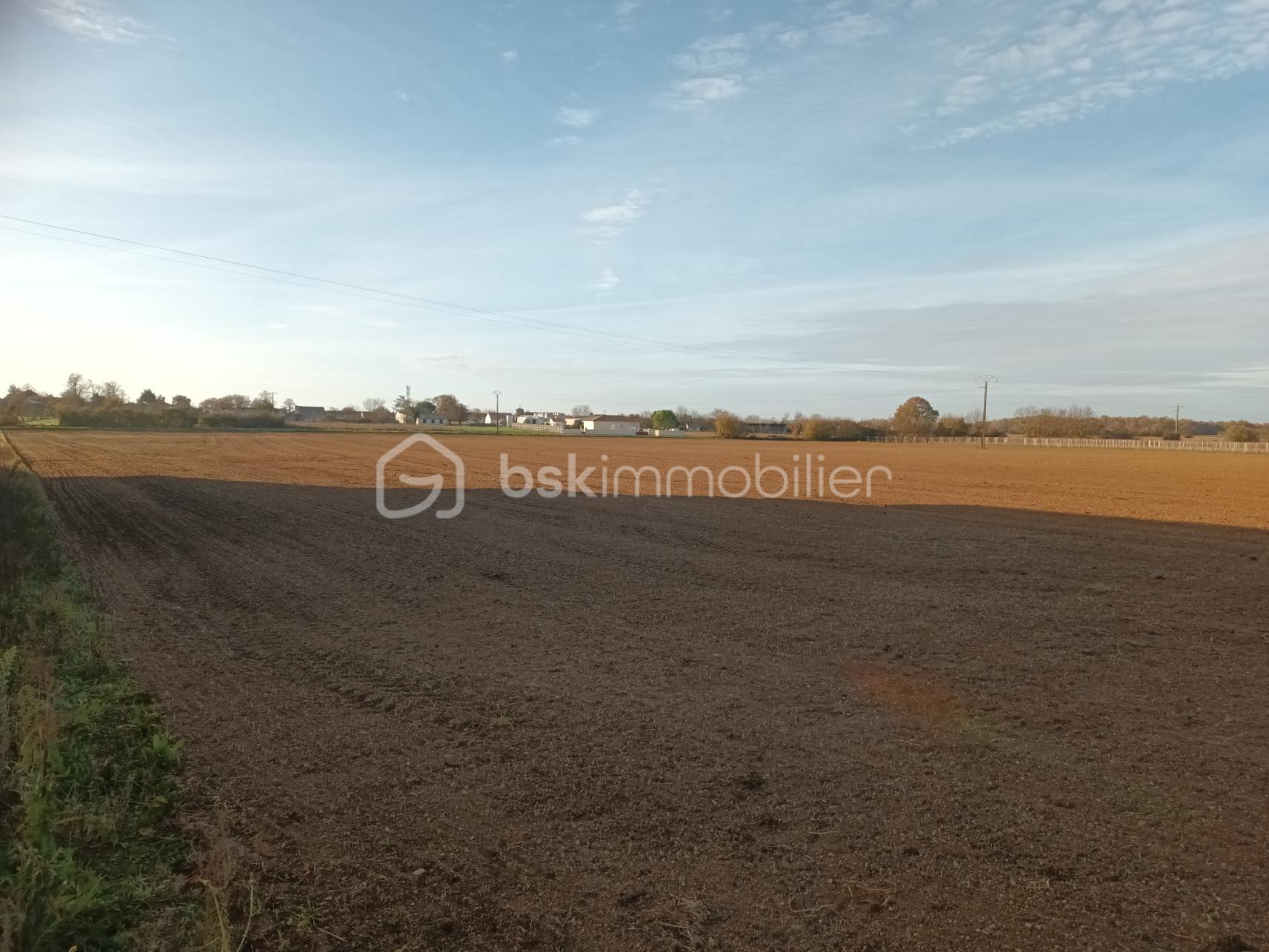 Terrain industriel de 9 653 m² - terrain thors 3.jpg