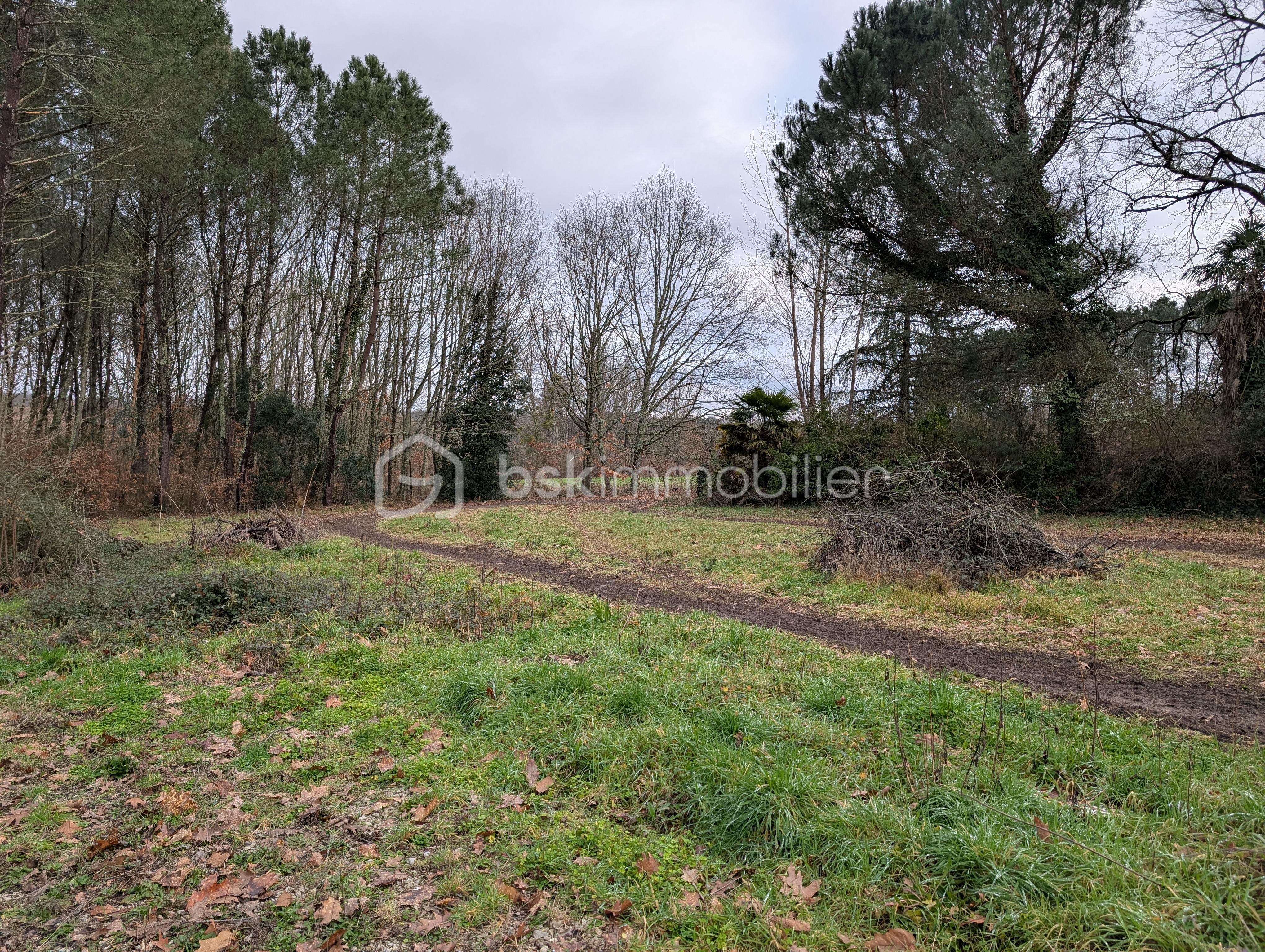 Terrain de 4 154 m² - PXL_20260118_153605428.jpg