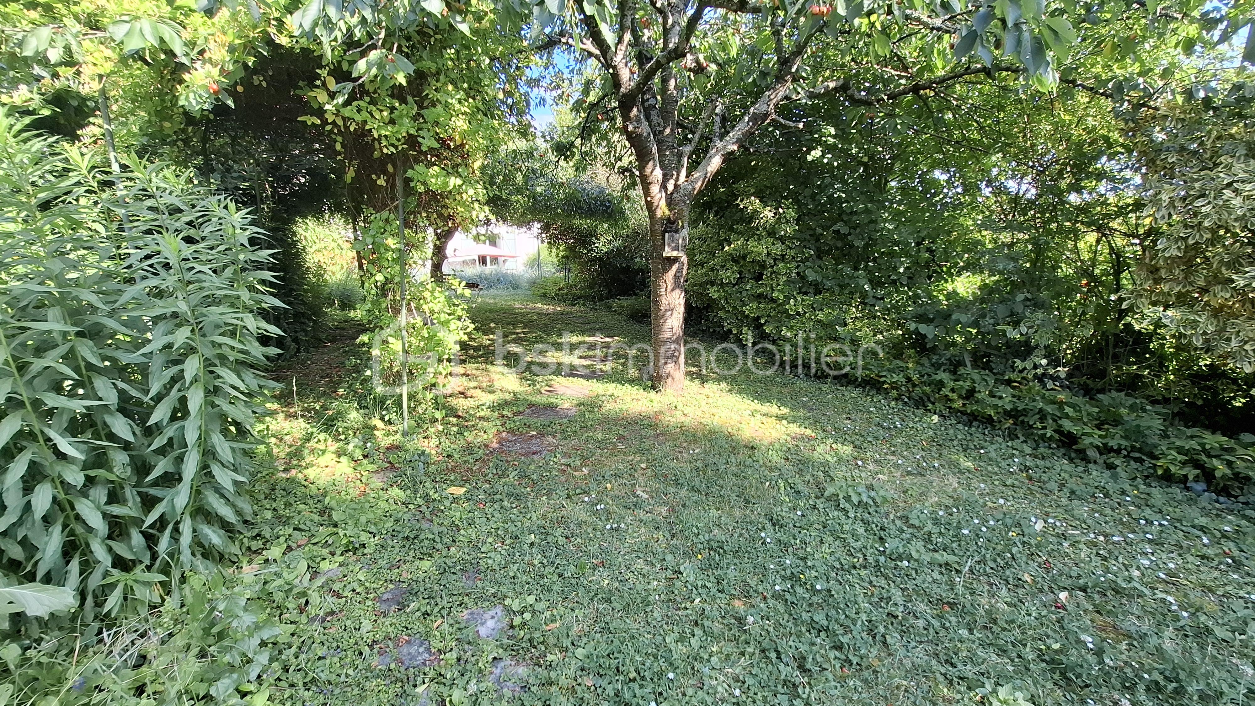 Maison de 110 m² - 20250617_175118.jpg