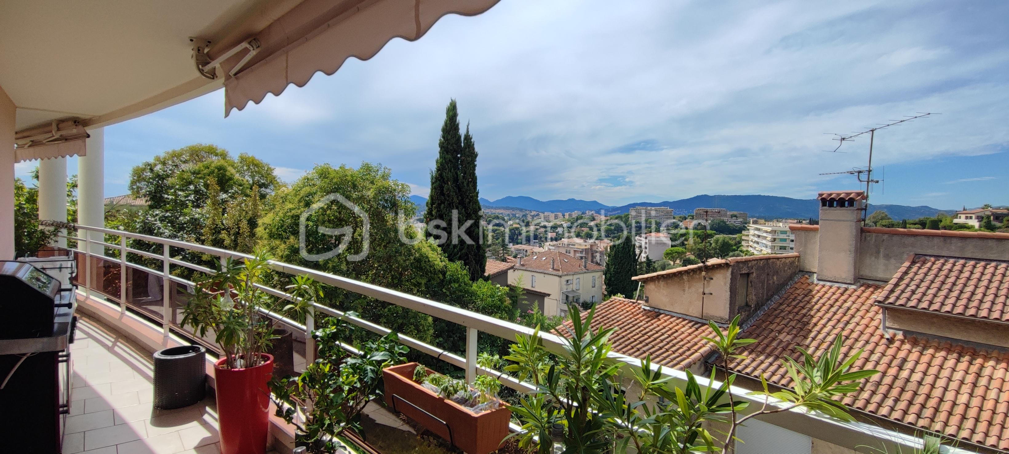 cannet vue de la terr lat.jpg