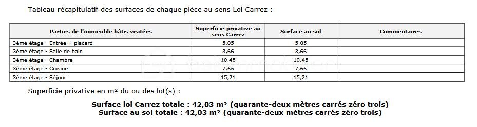 Appartement de 42,03 m² - Capture d’écran 2025-10-10 131156.png