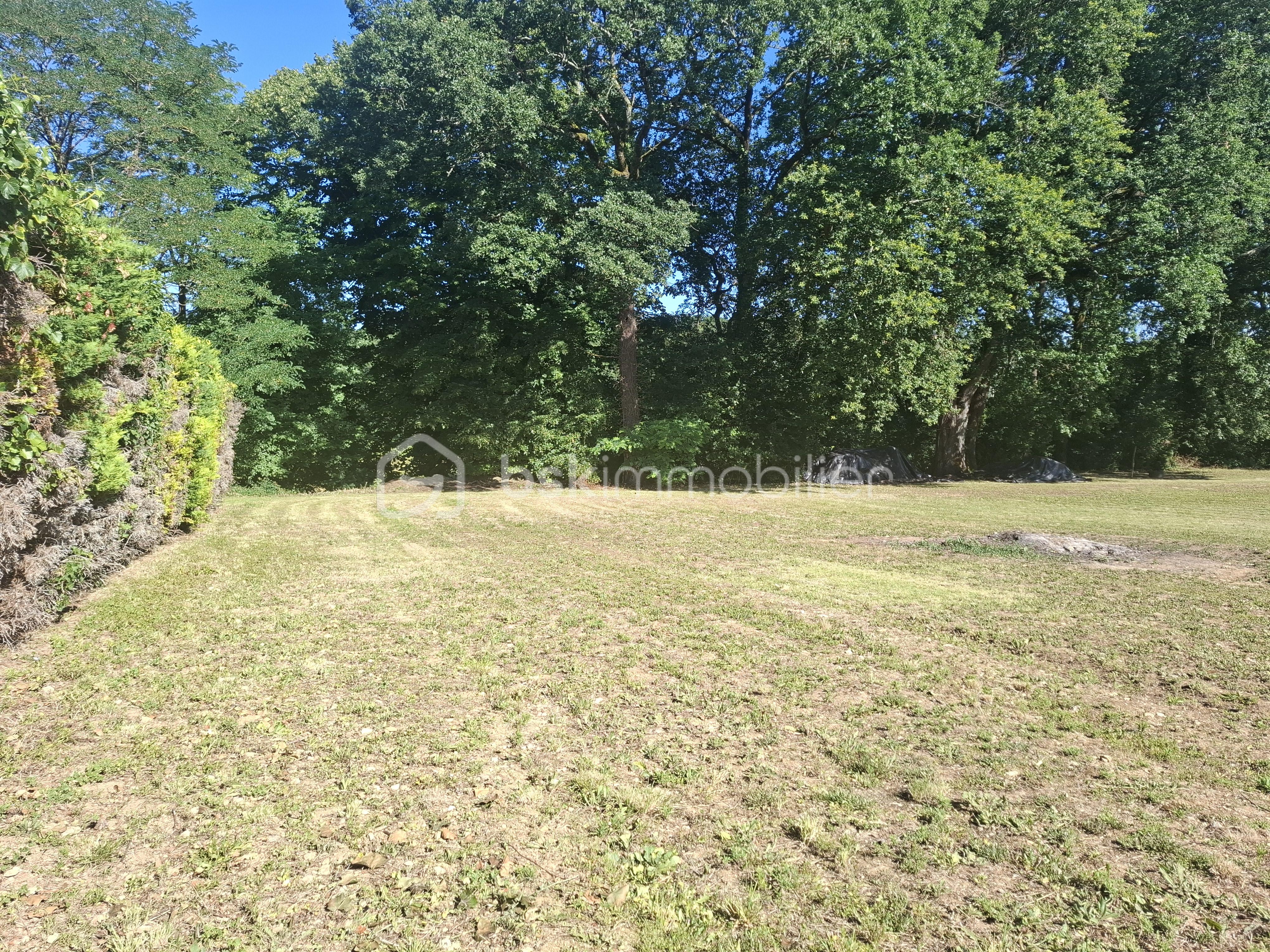 20260615_174454.jpg