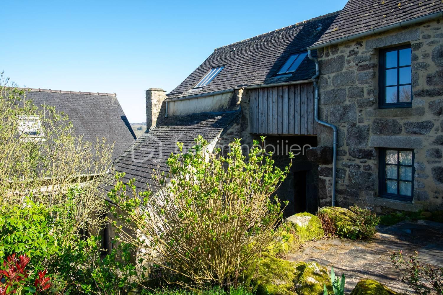 terrasse arrière(1).jpg